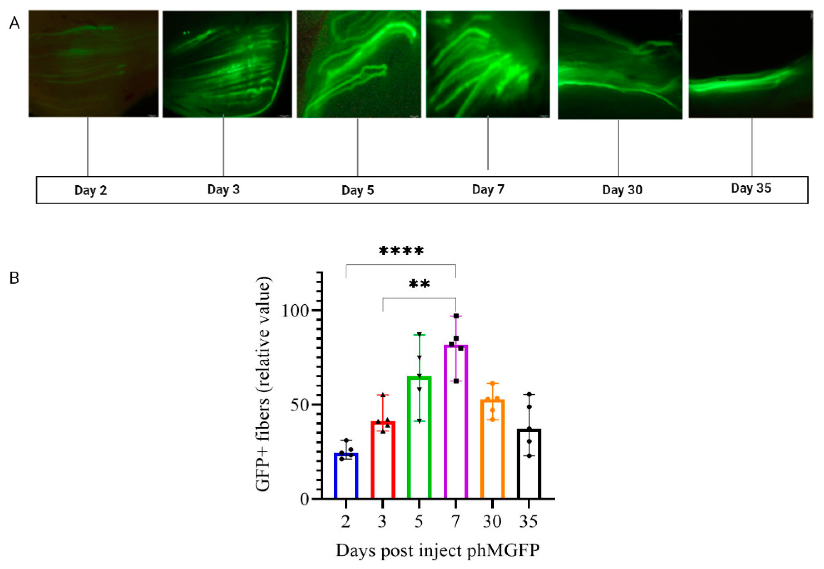 Pharmaceutics 14 02259 g004 Pharmaceutics 14 02259 g004