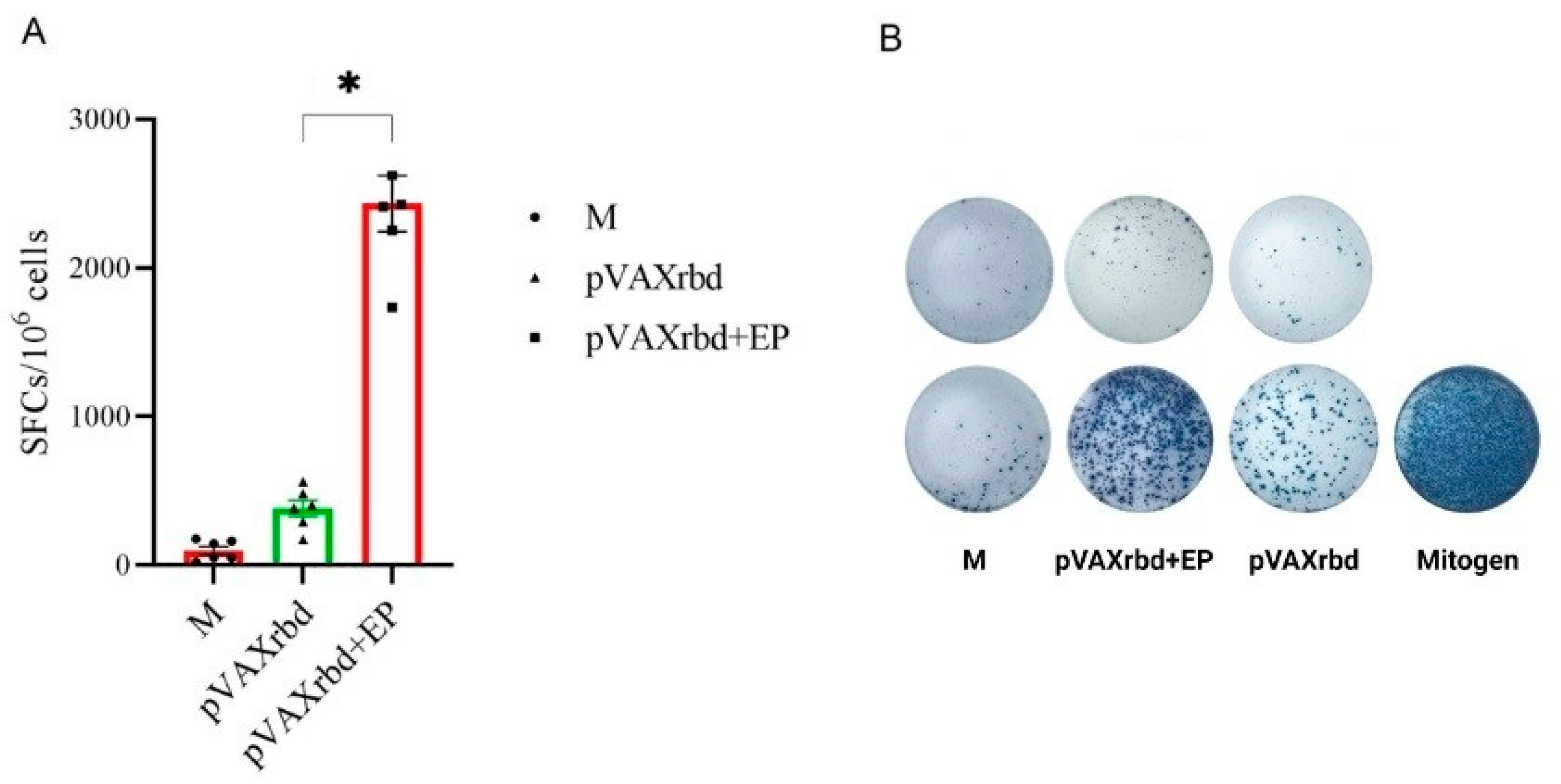 Pharmaceutics 14 02259 g006 Pharmaceutics 14 02259 g006