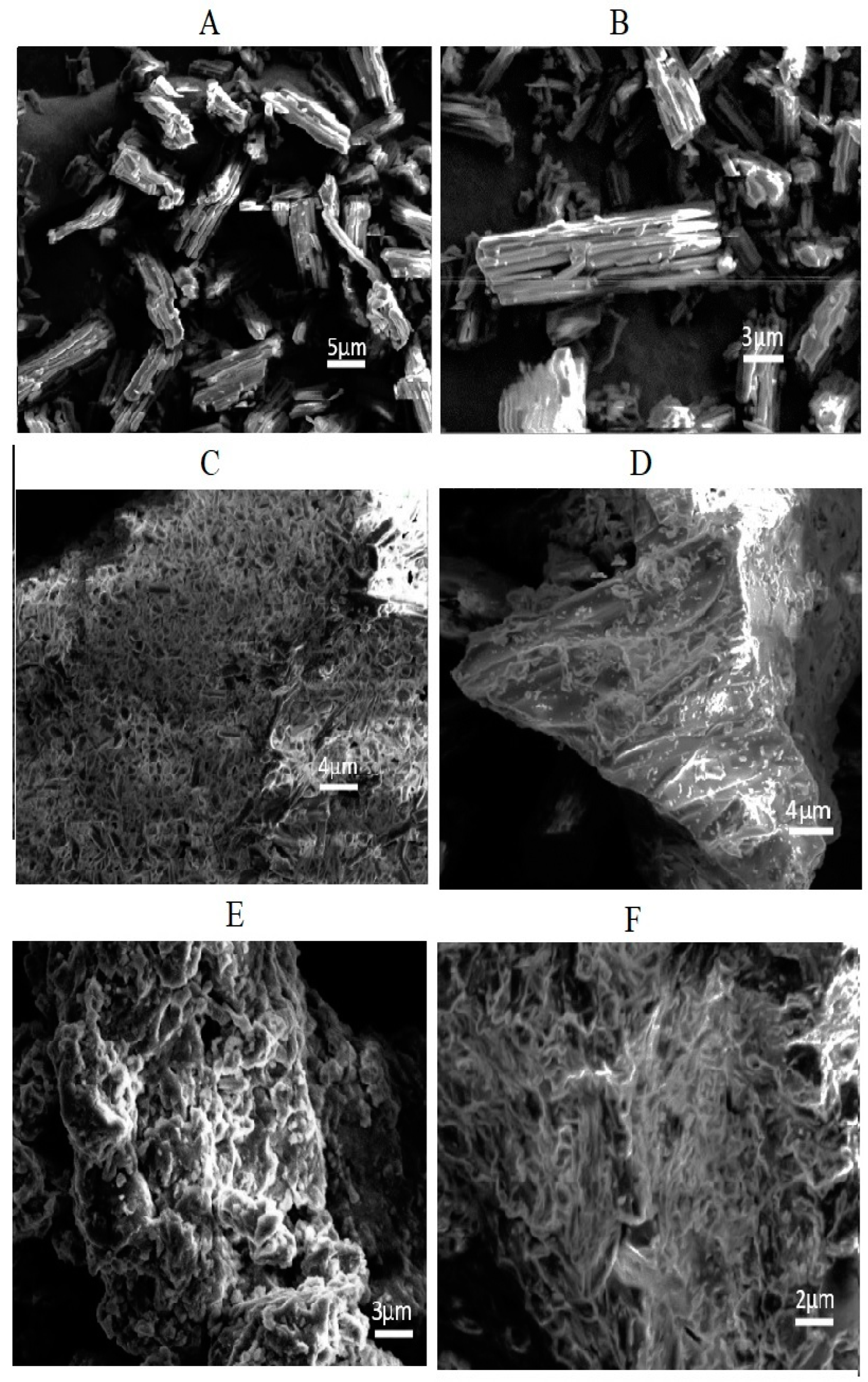Pharmaceutics 14 02264 g008