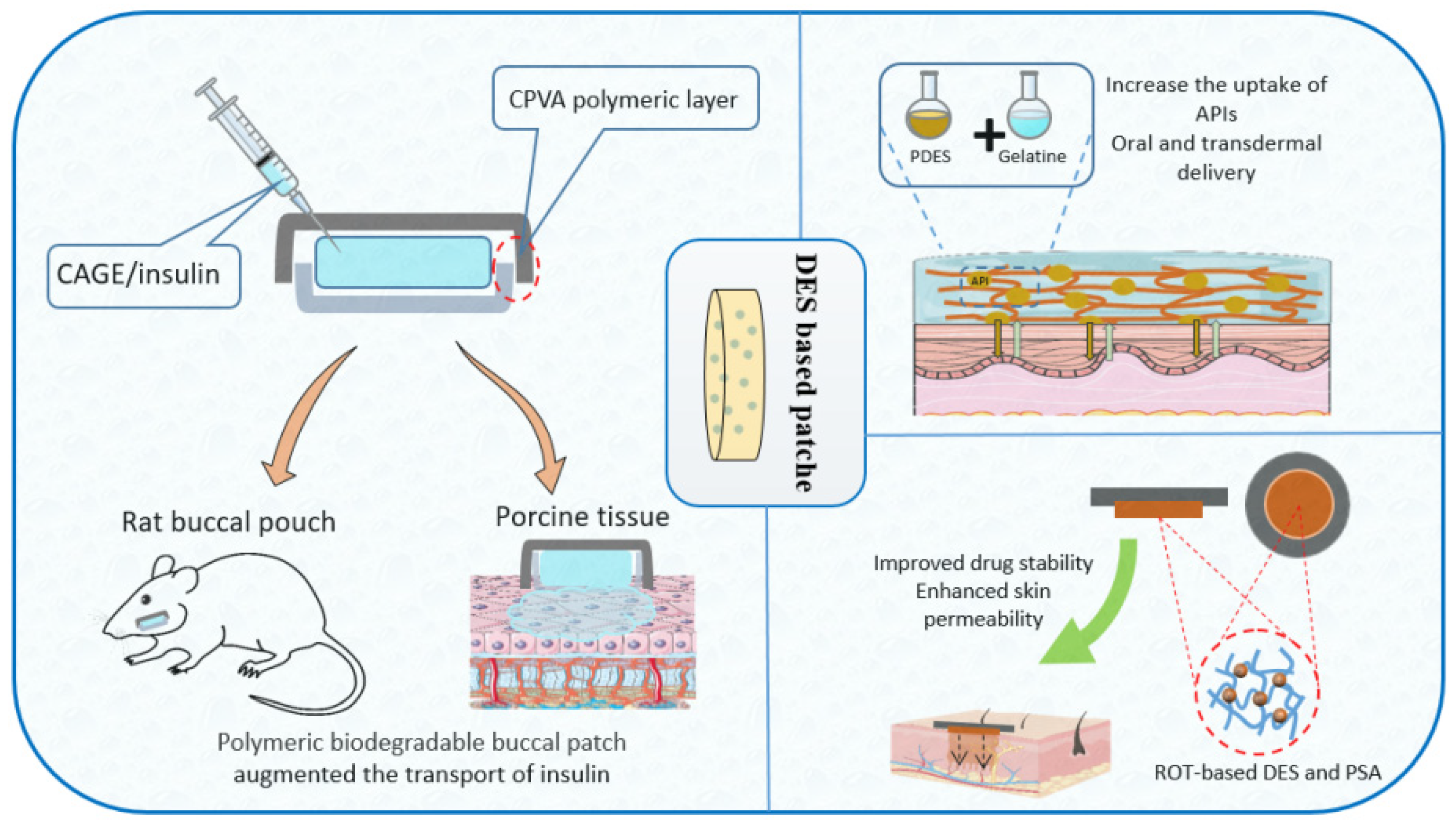 Pharmaceutics 14 02265 g006
