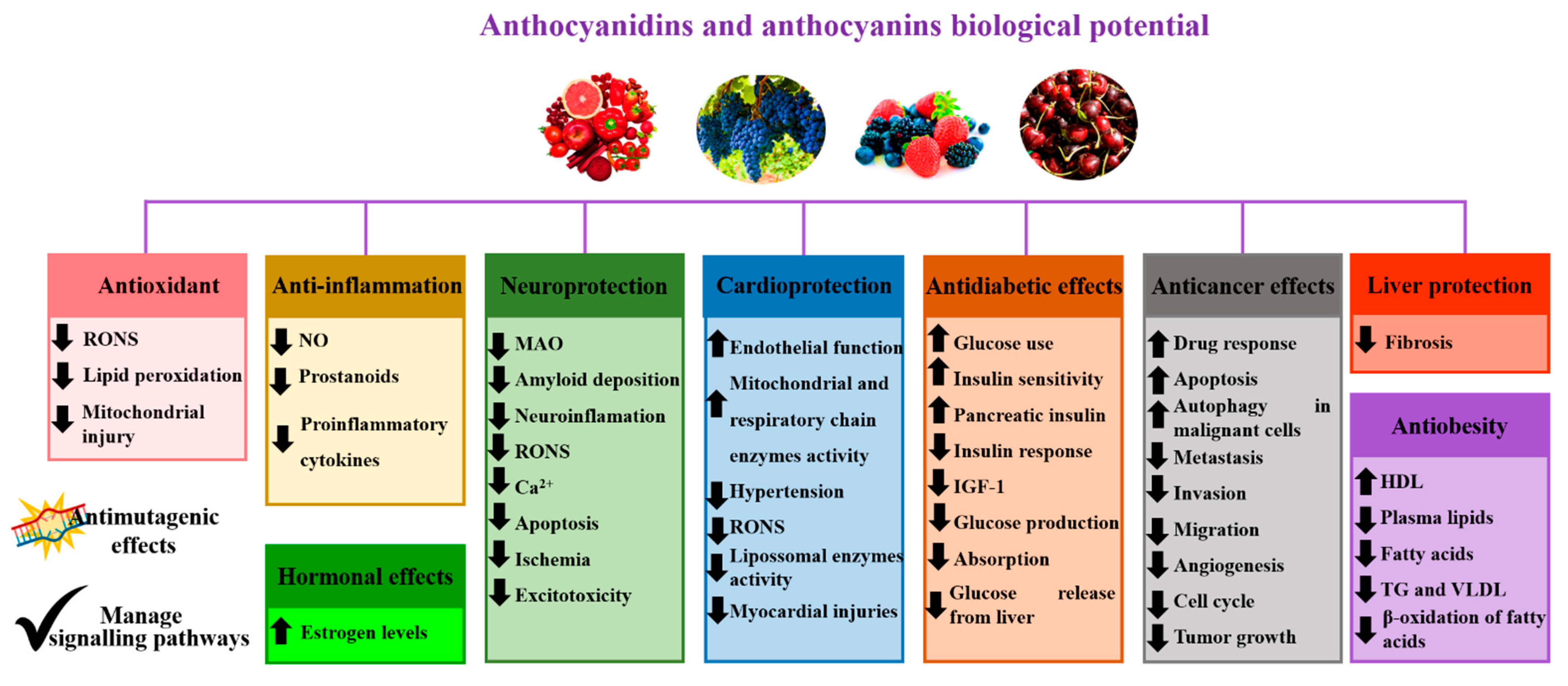 Pharmaceutics 14 02272 g001