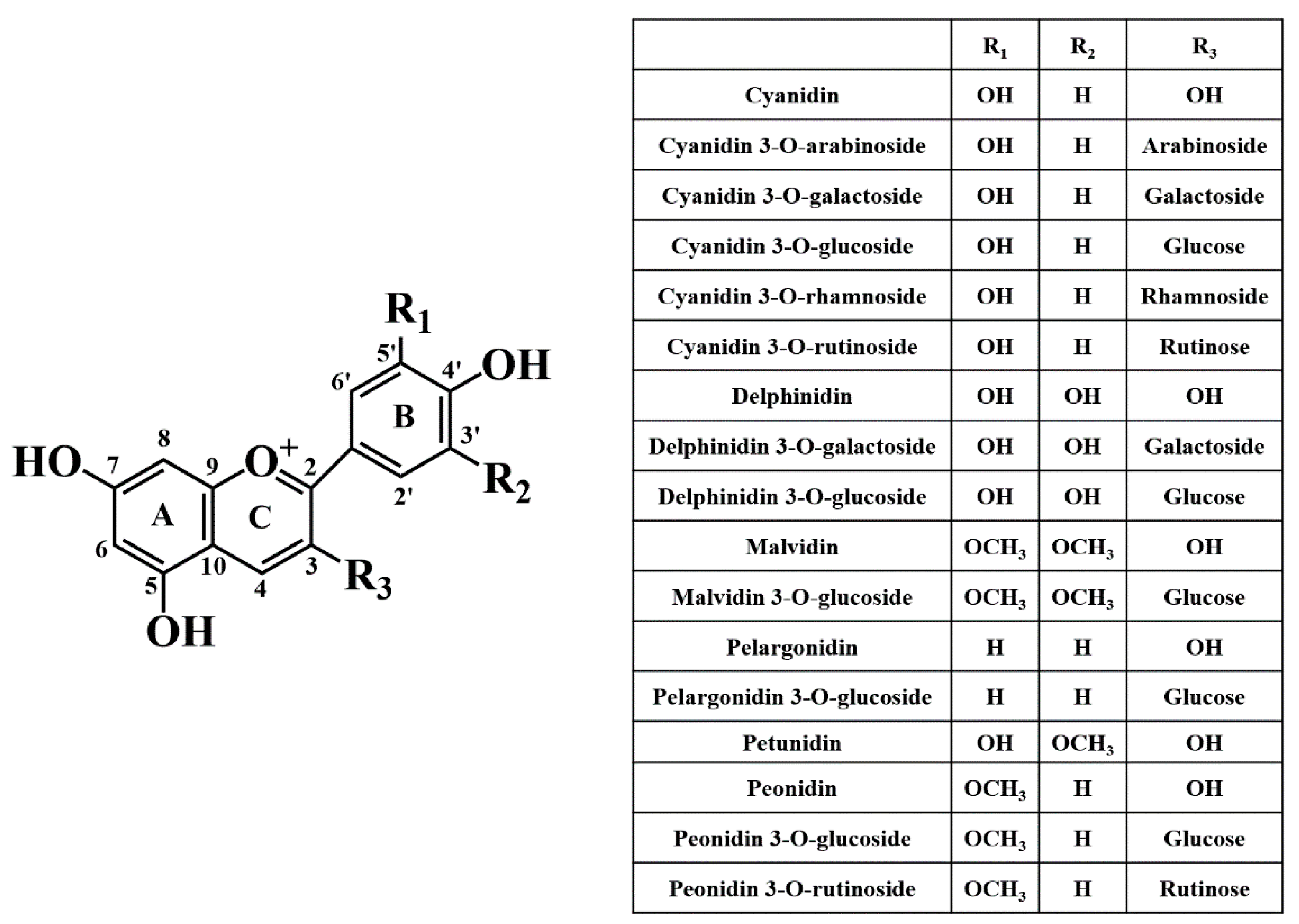 Pharmaceutics 14 02272 g002