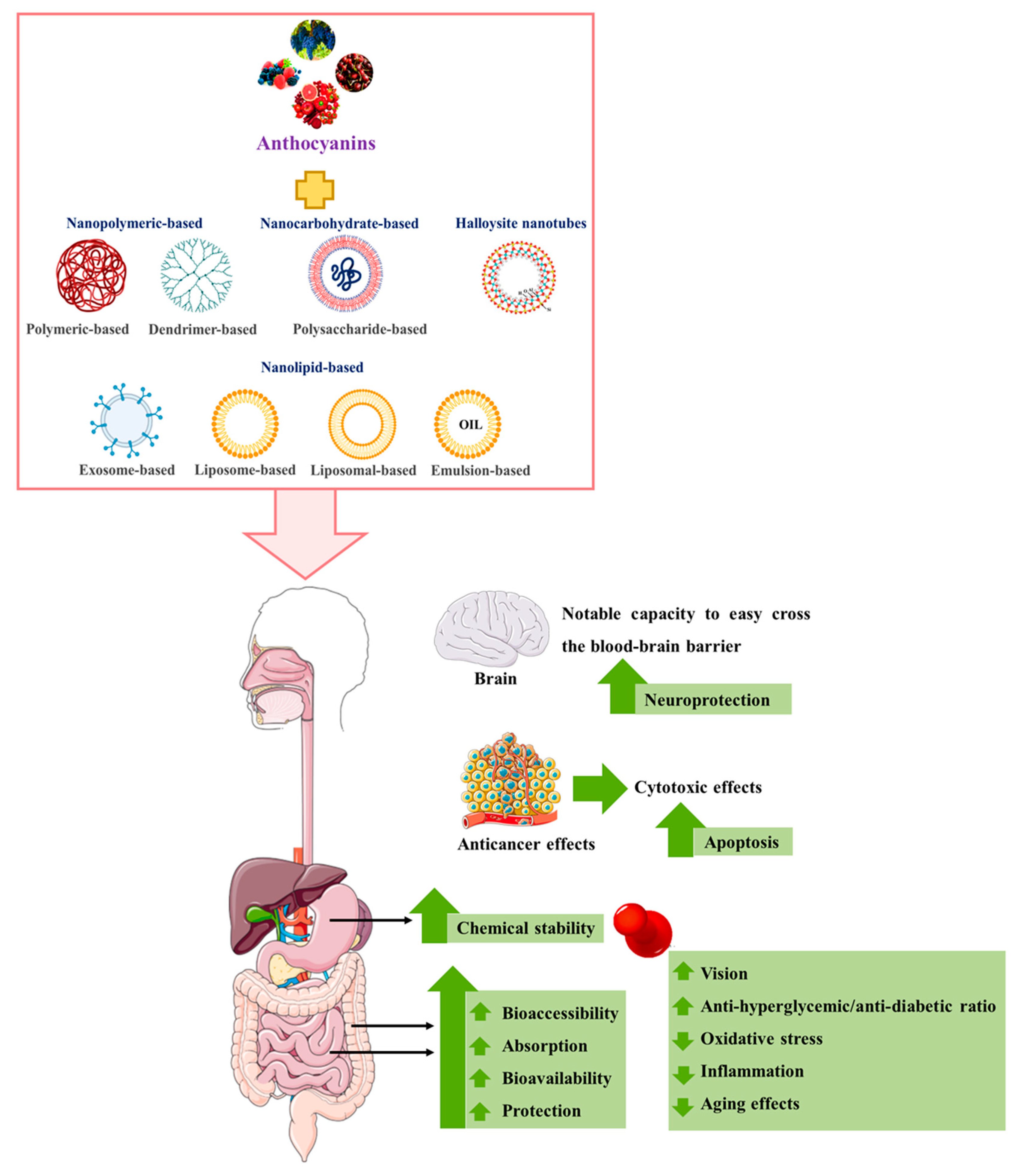 Pharmaceutics 14 02272 g004