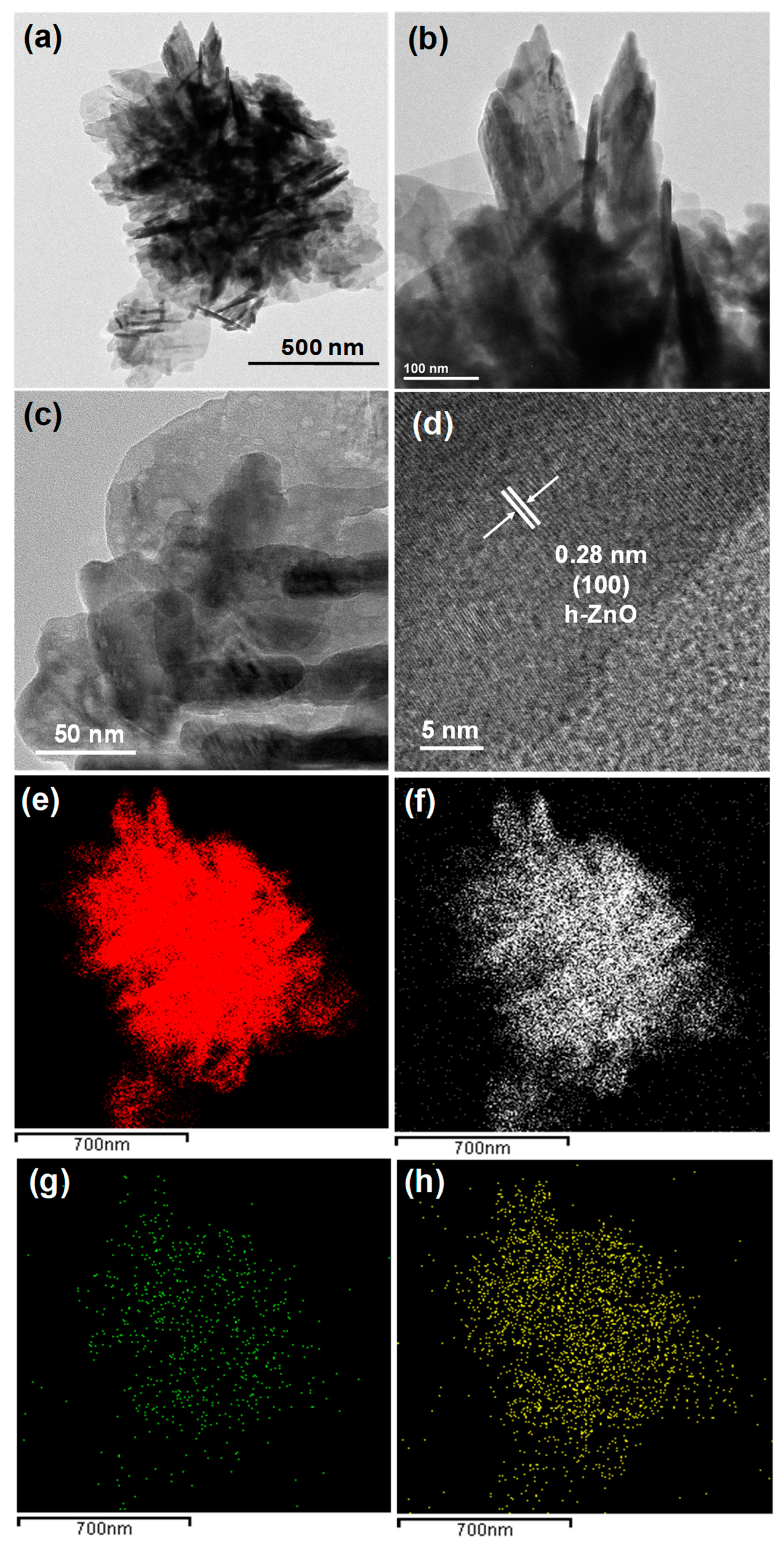 Pharmaceutics 14 02273 g002