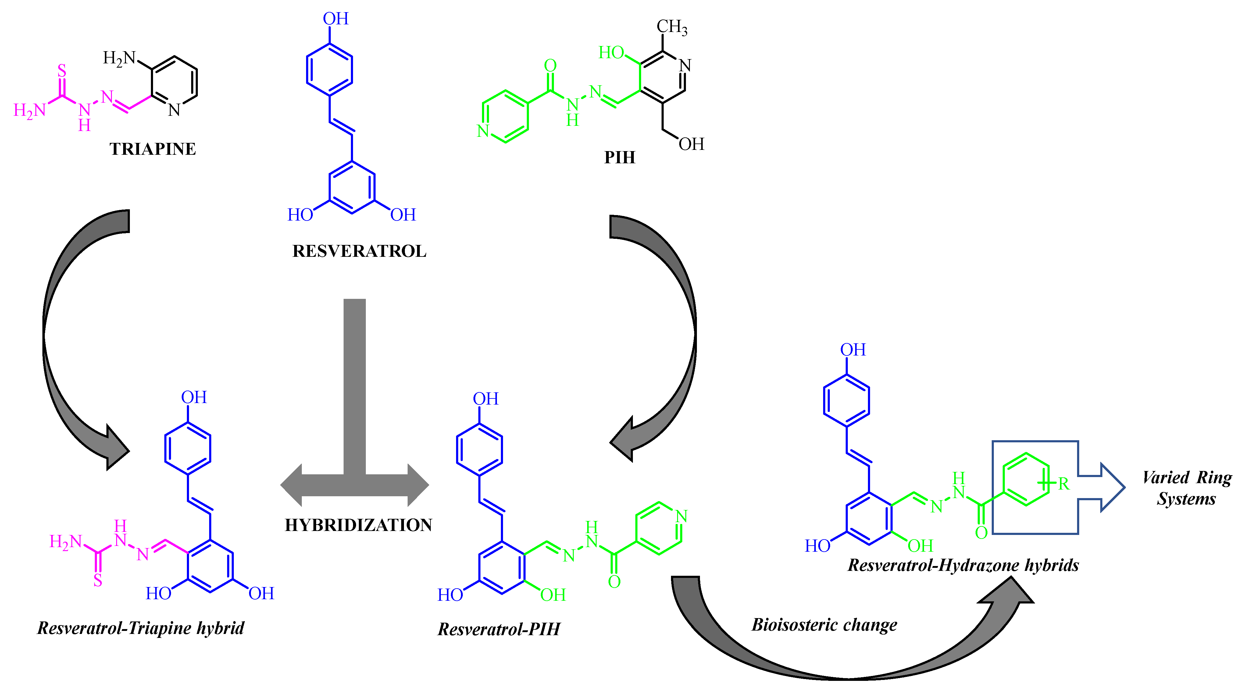Pharmaceutics 14 02278 g002