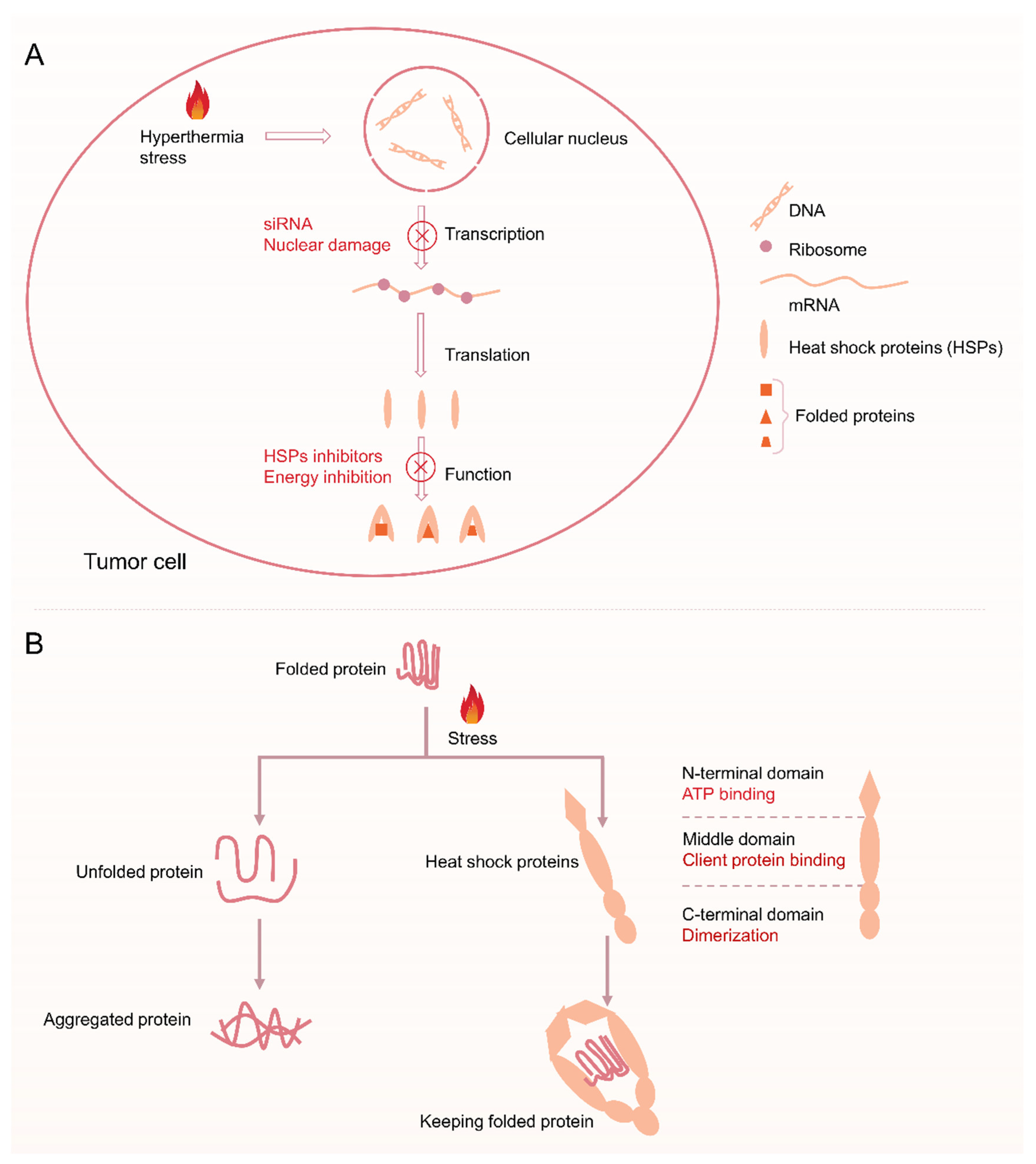 Pharmaceutics 14 02279 g002