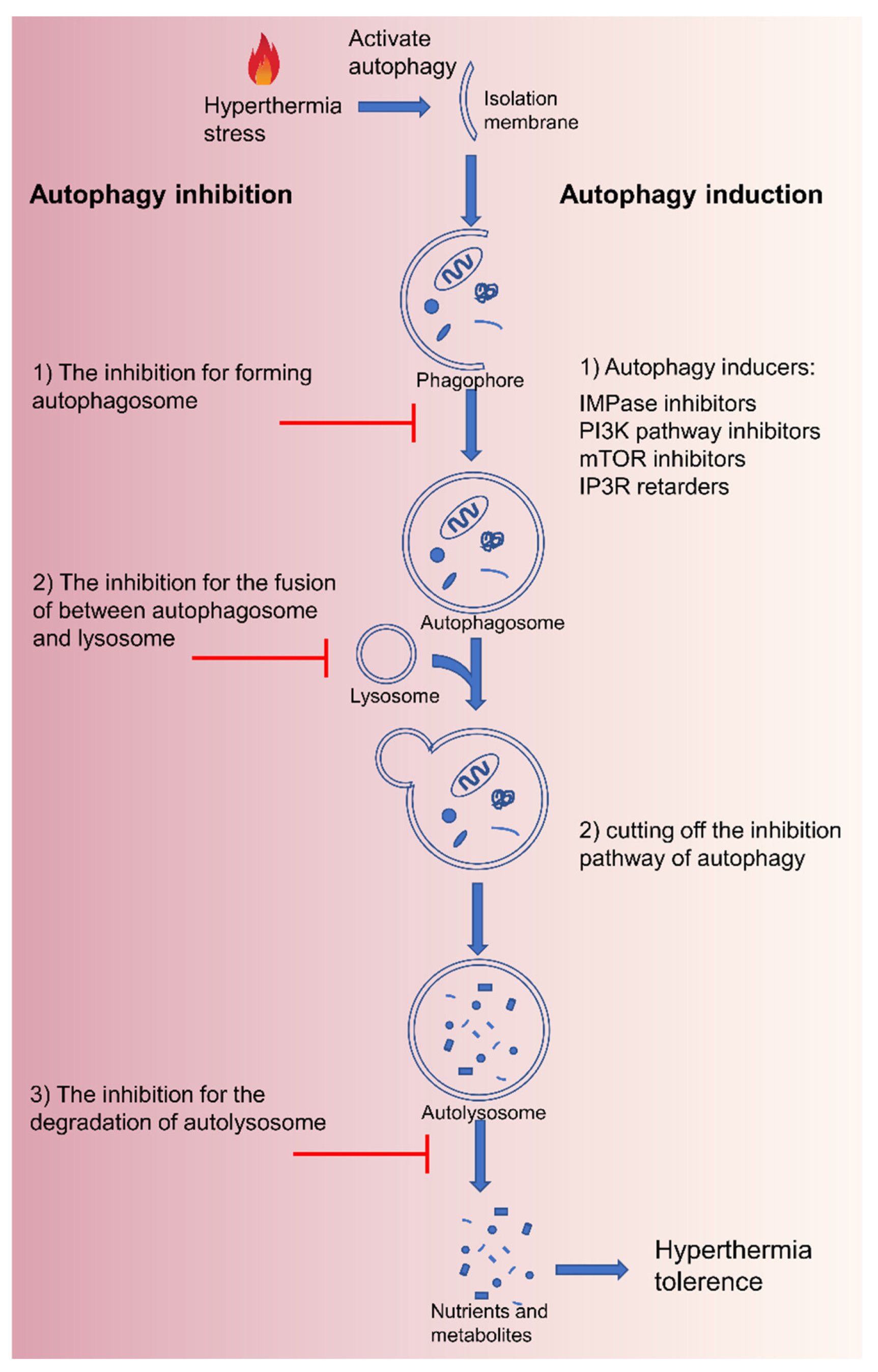 Pharmaceutics 14 02279 g003