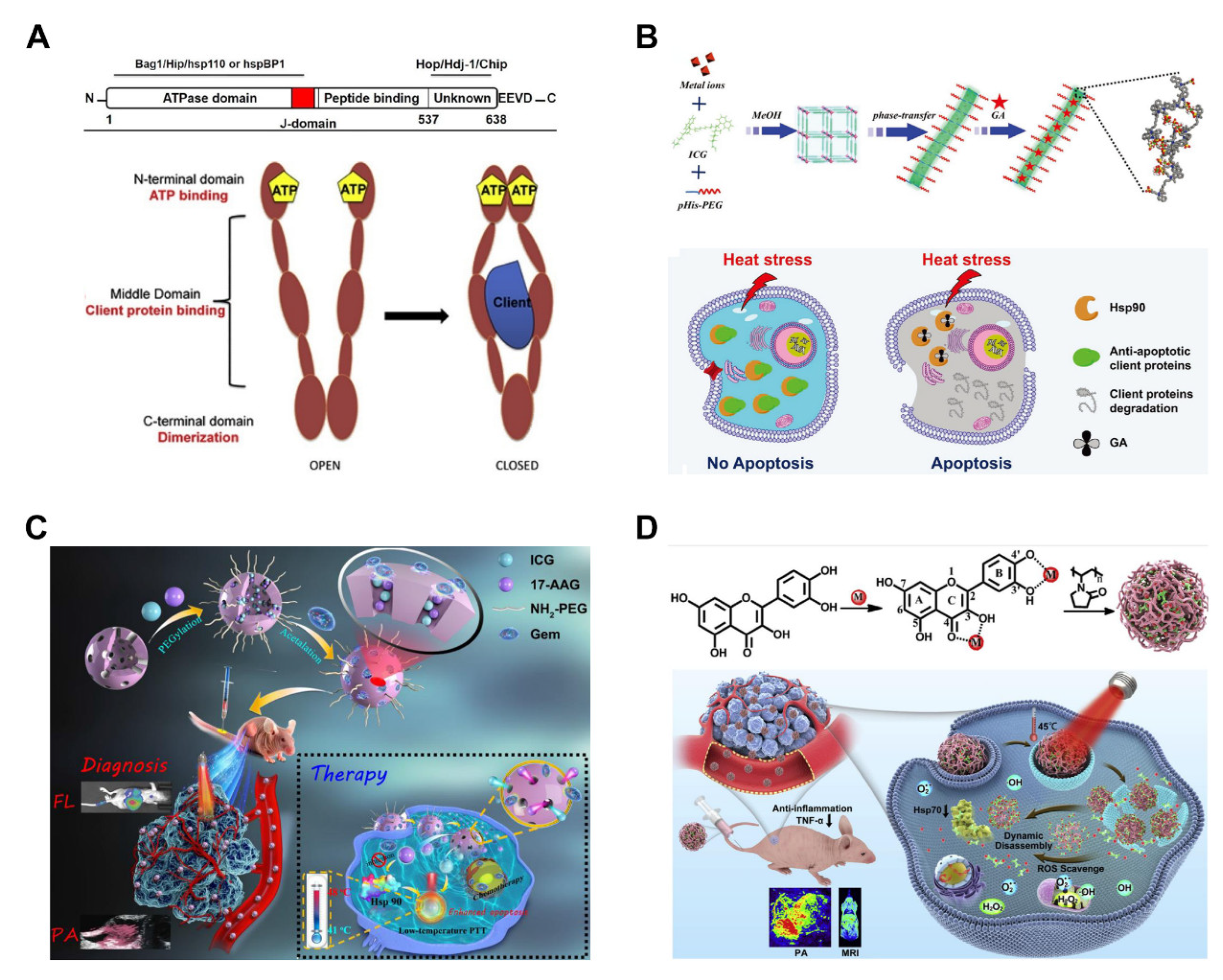 Pharmaceutics 14 02279 g004