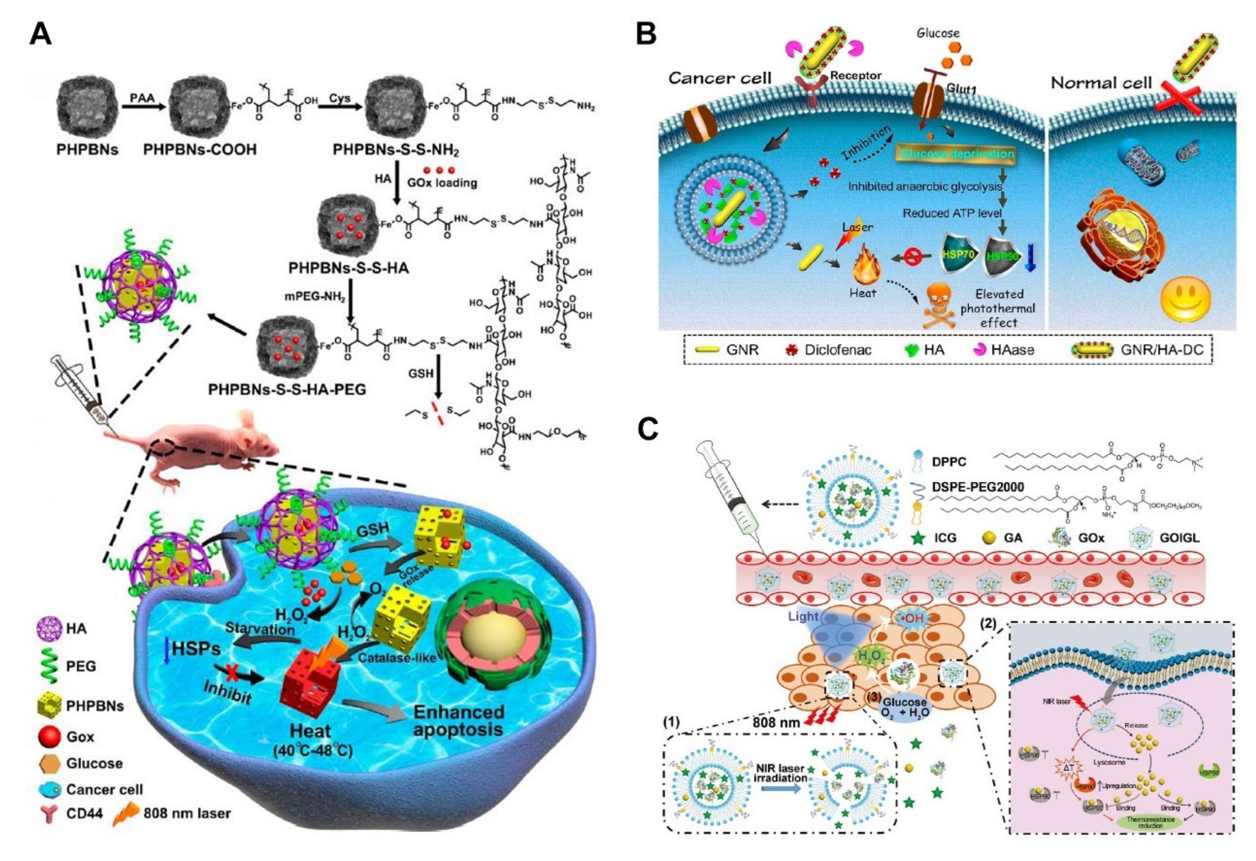 Pharmaceutics 14 02279 g006