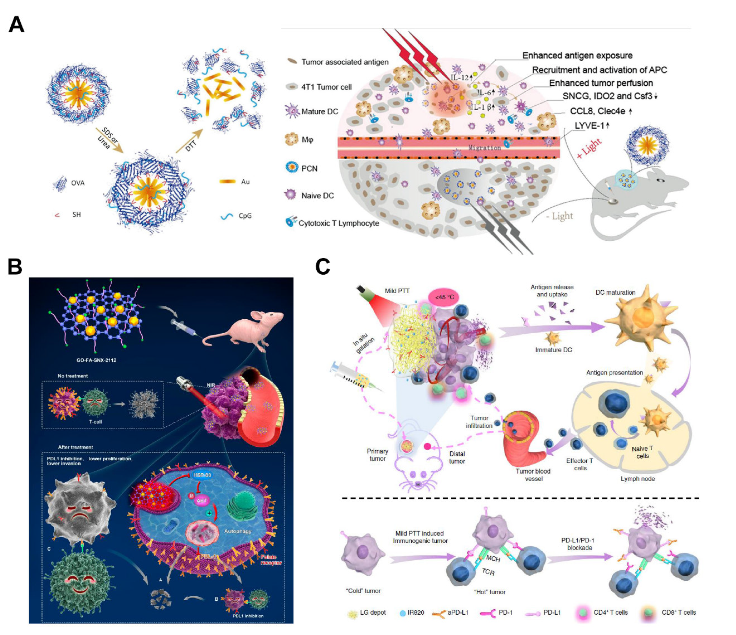 Pharmaceutics 14 02279 g009