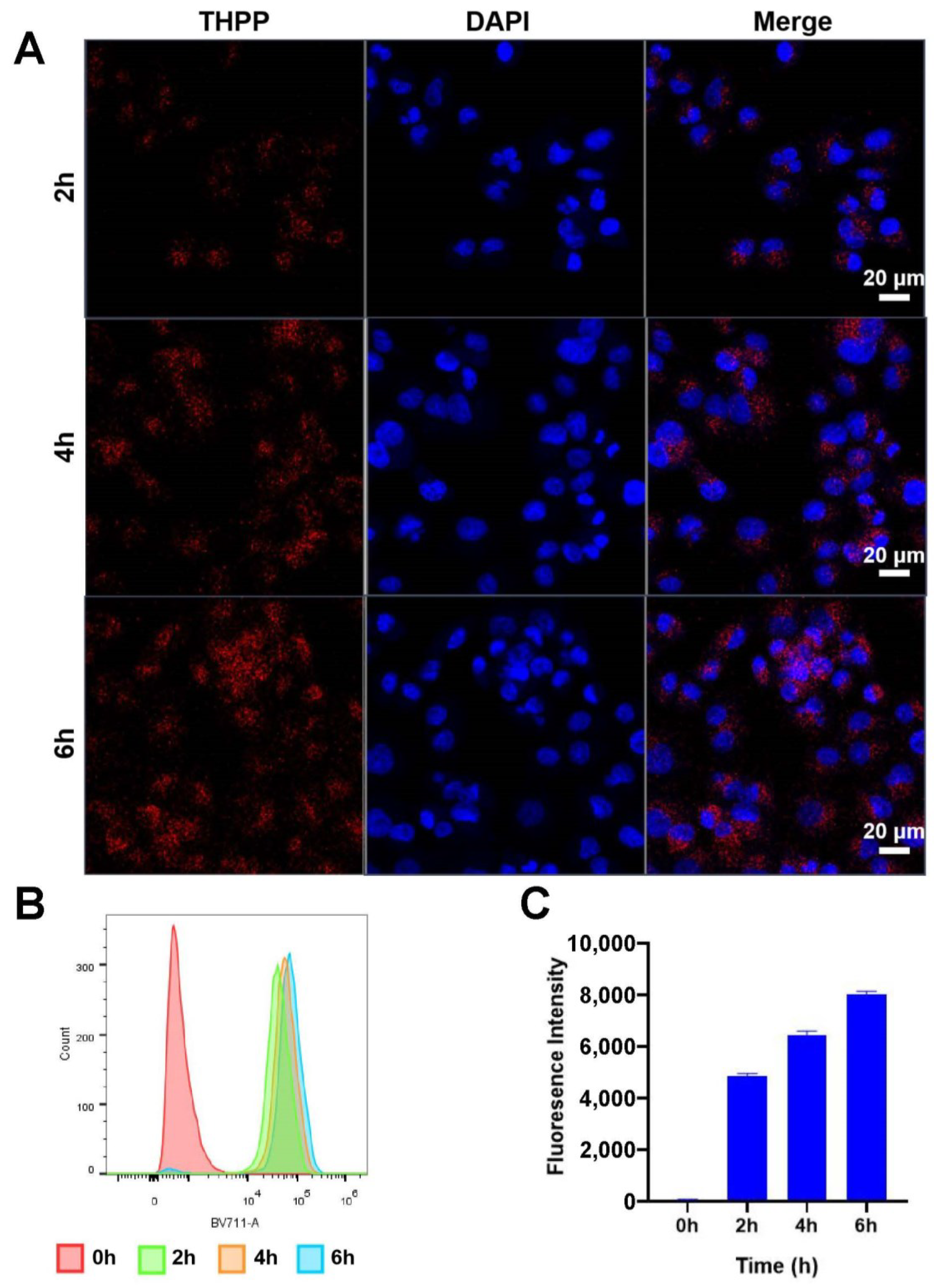 Pharmaceutics 14 02280 g002