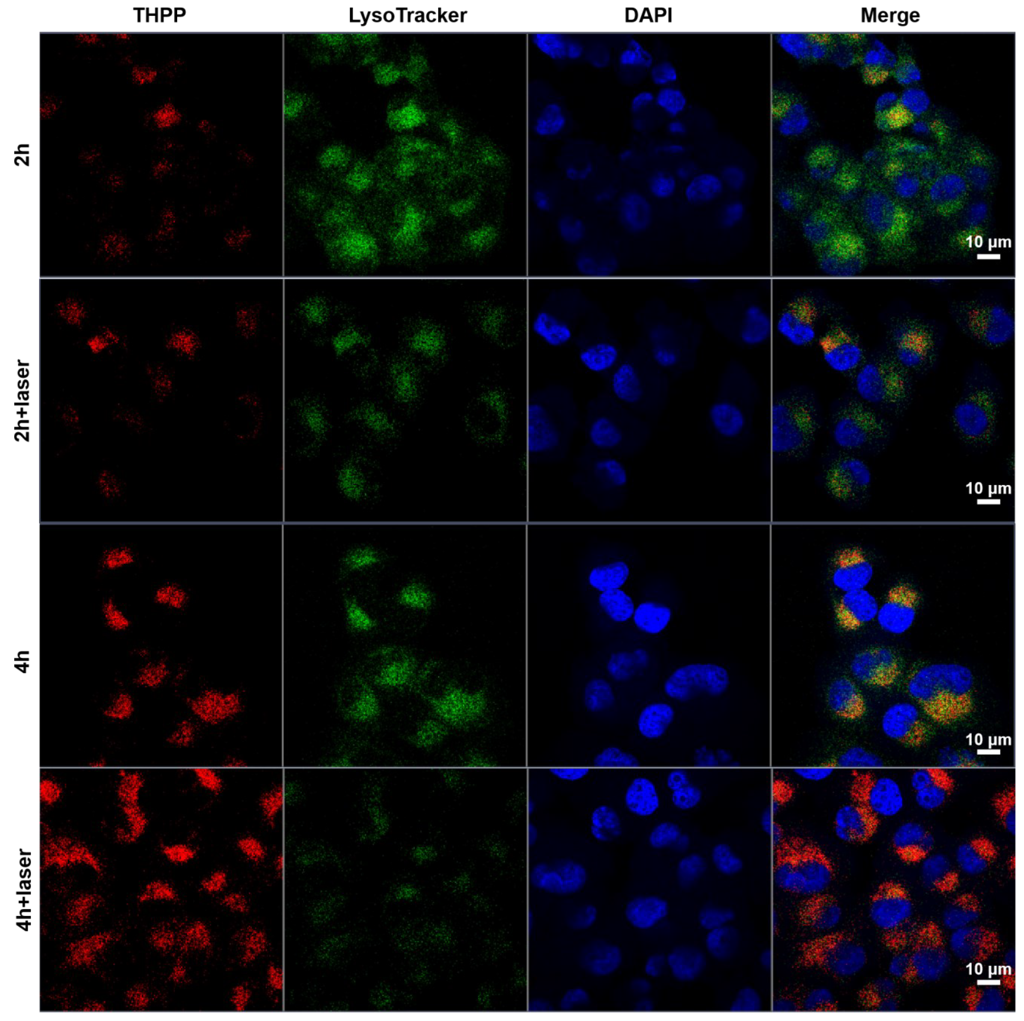 Pharmaceutics 14 02280 g004
