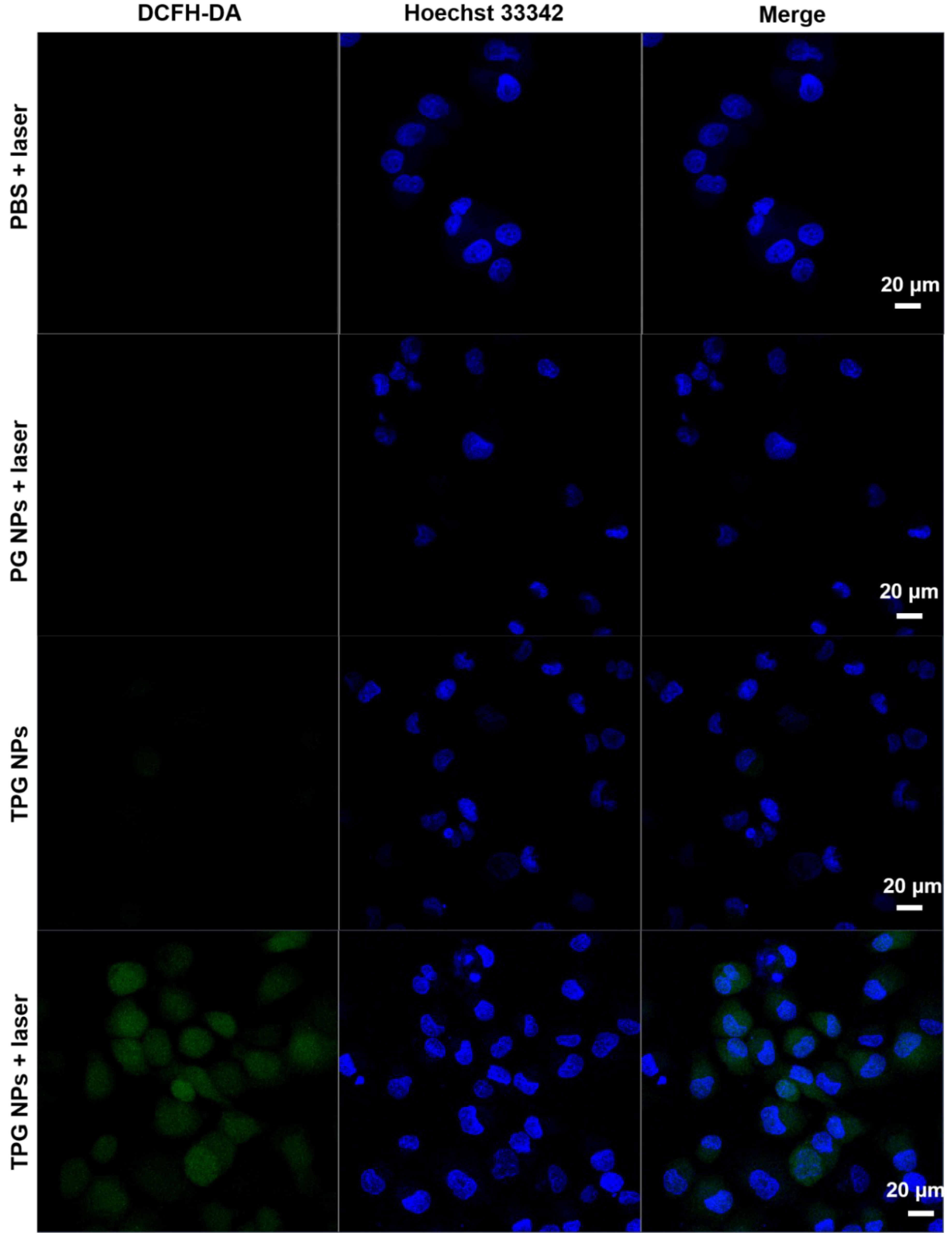 Pharmaceutics 14 02280 g005