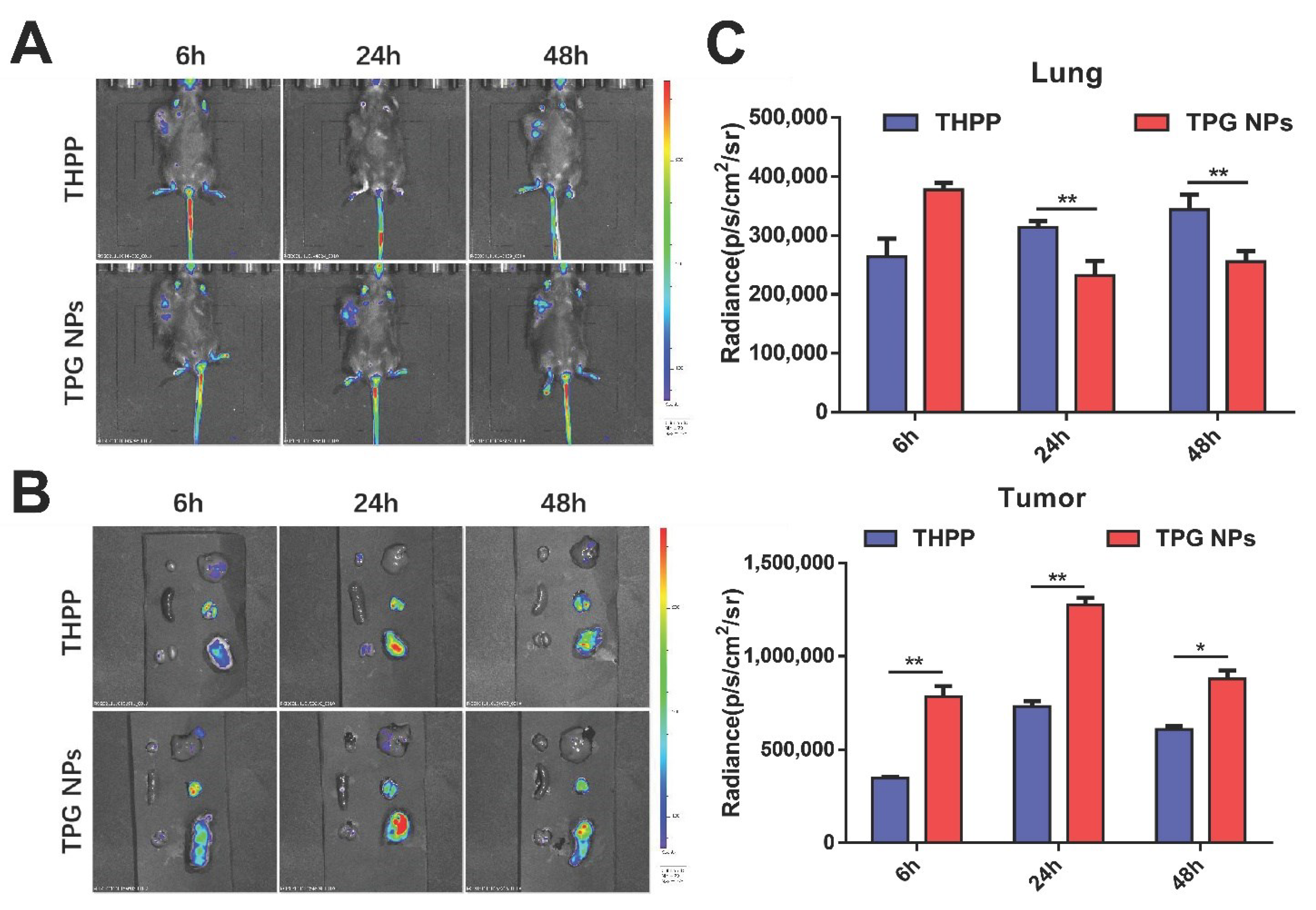 Pharmaceutics 14 02280 g006