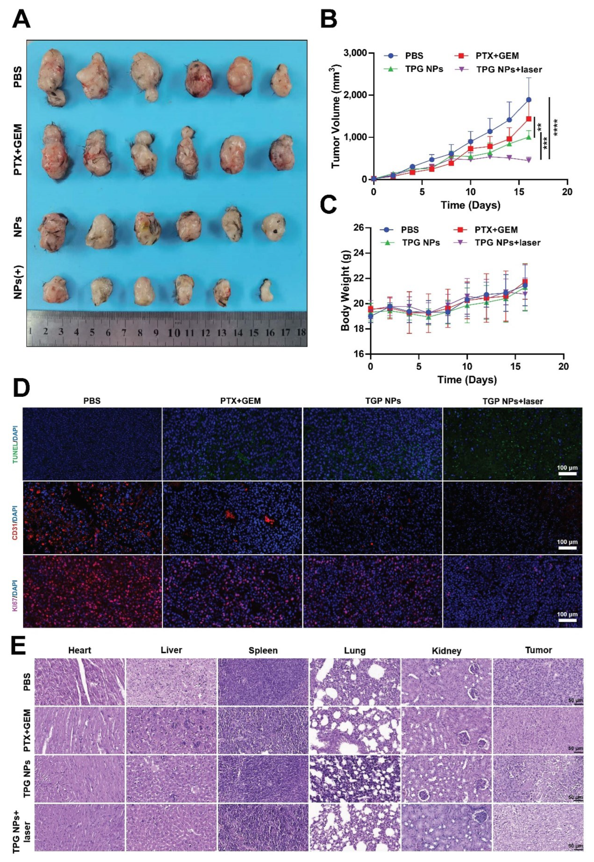 Pharmaceutics 14 02280 g007