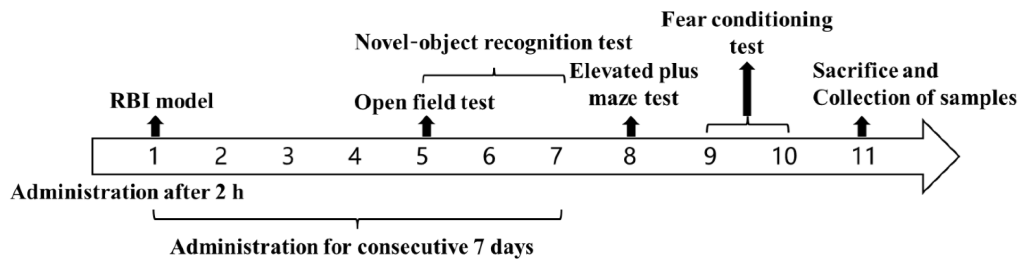 Pharmaceutics 14 02281 g001