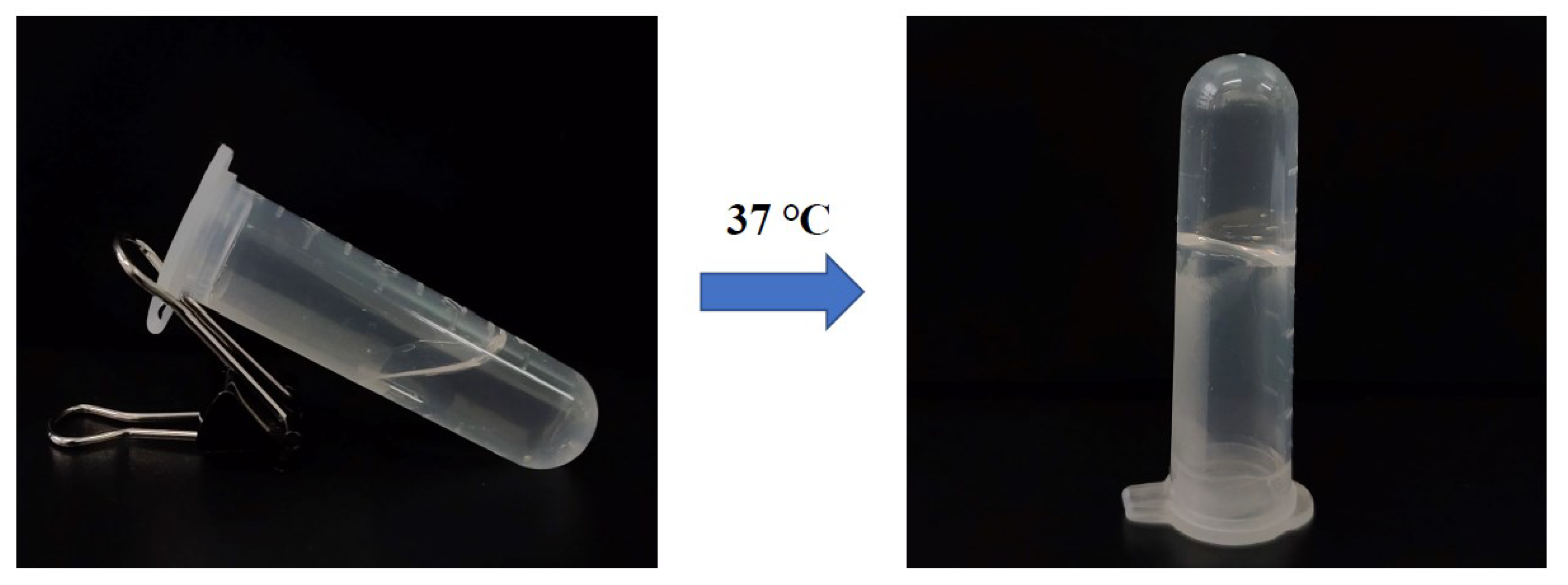 Pharmaceutics 14 02281 g002