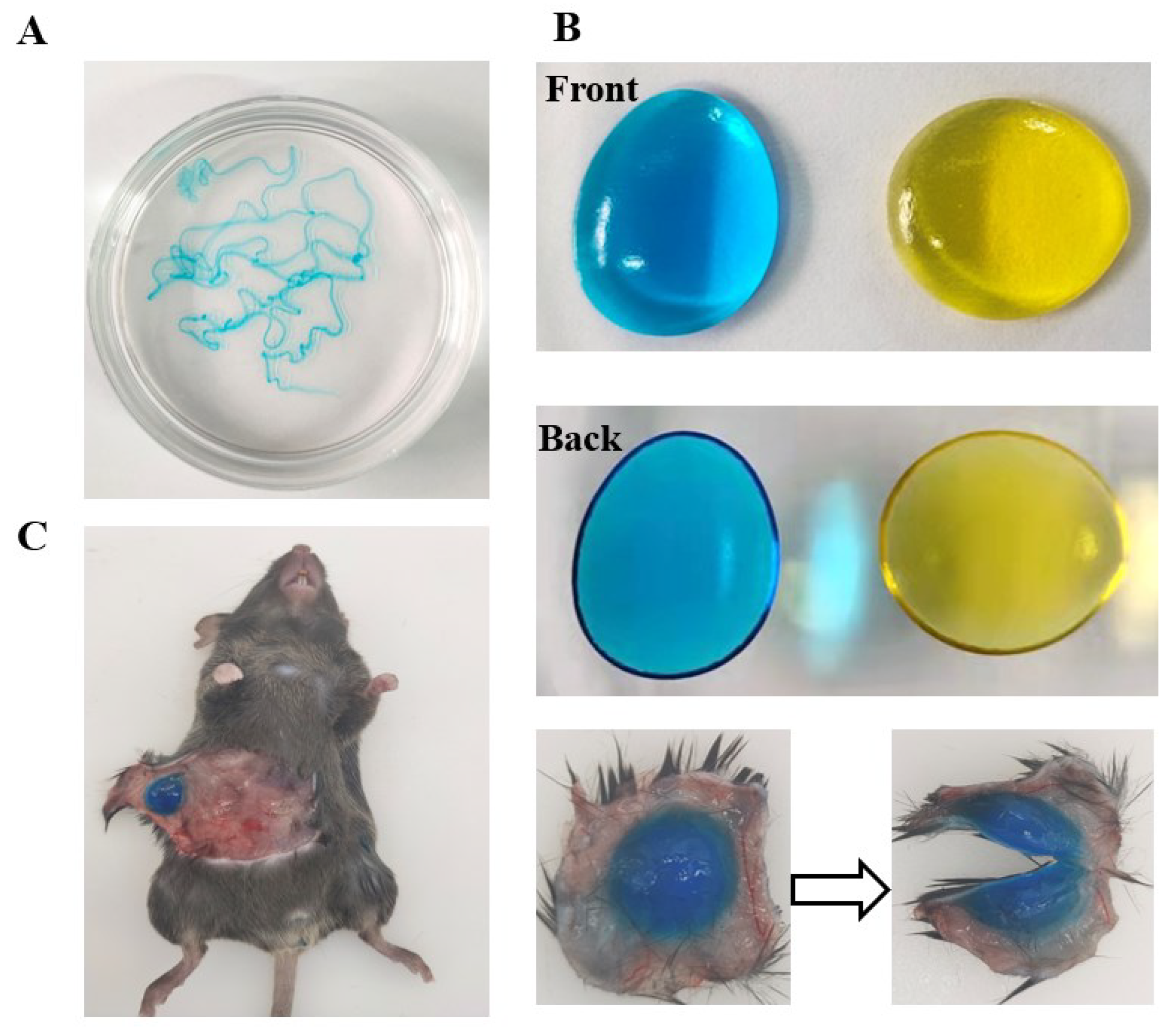Pharmaceutics 14 02281 g004