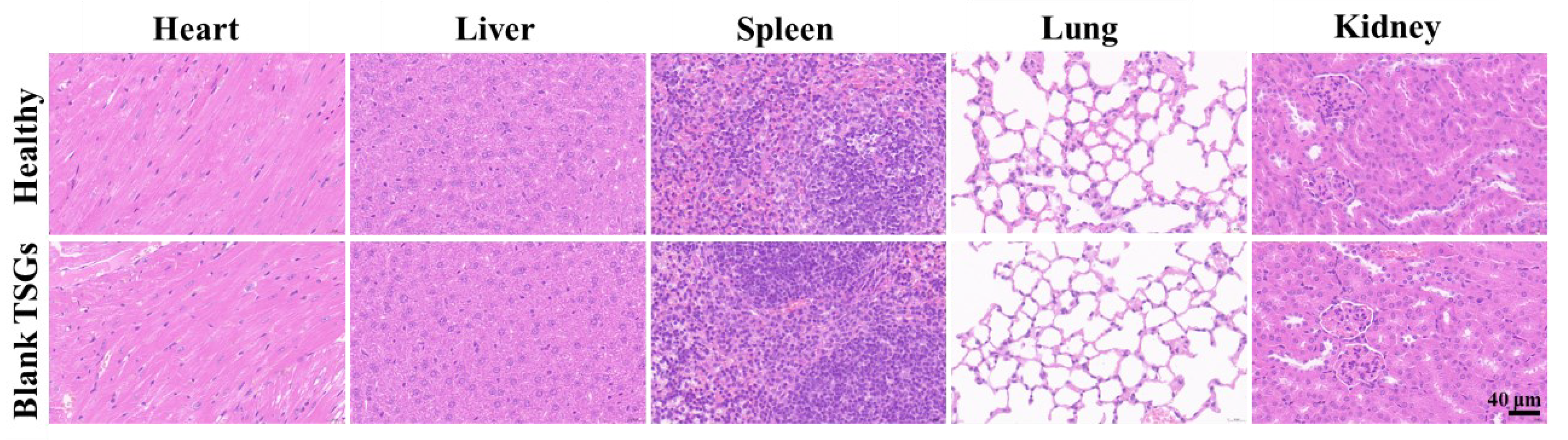 Pharmaceutics 14 02281 g006
