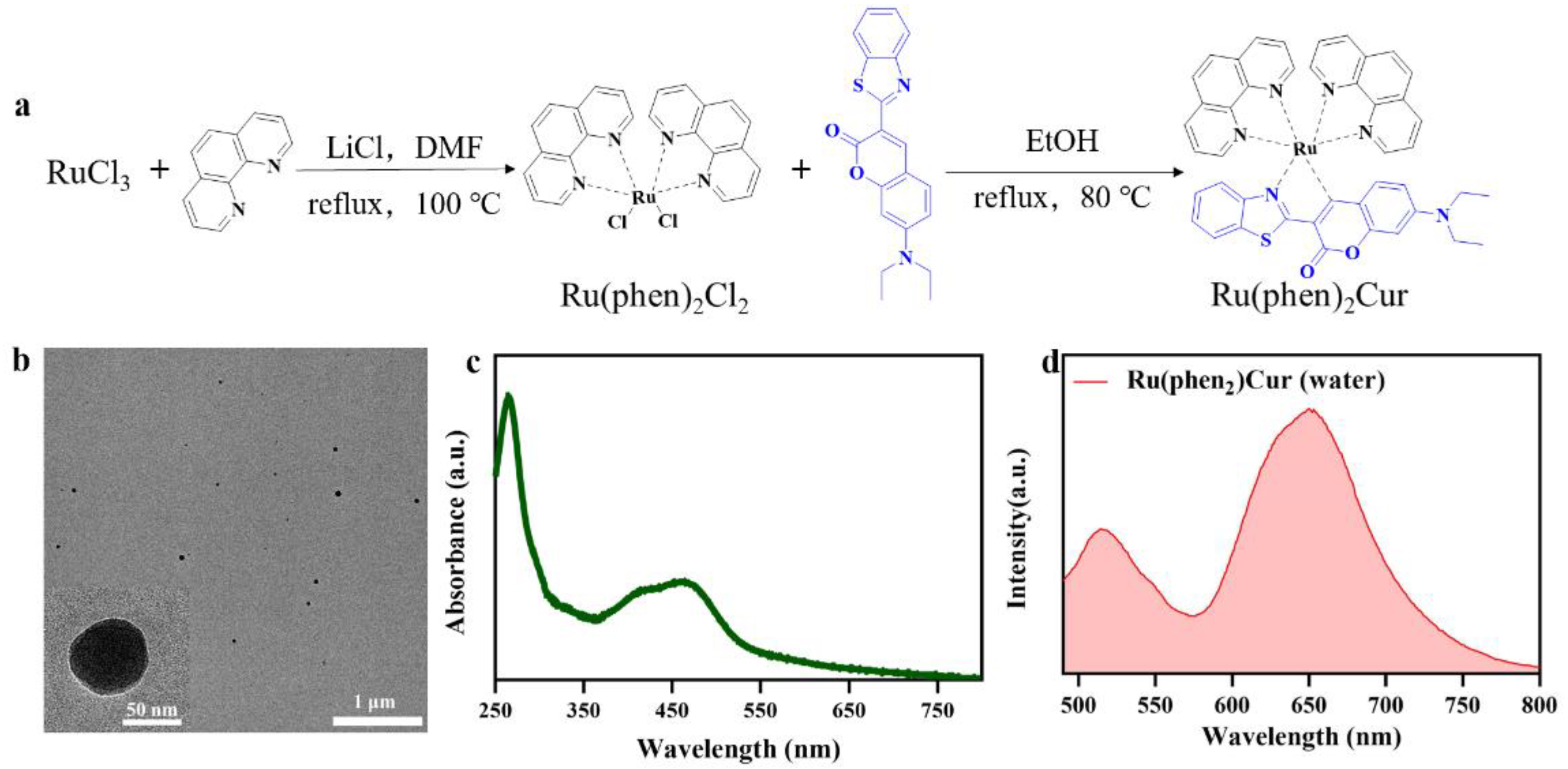 Pharmaceutics 14 02284 g001