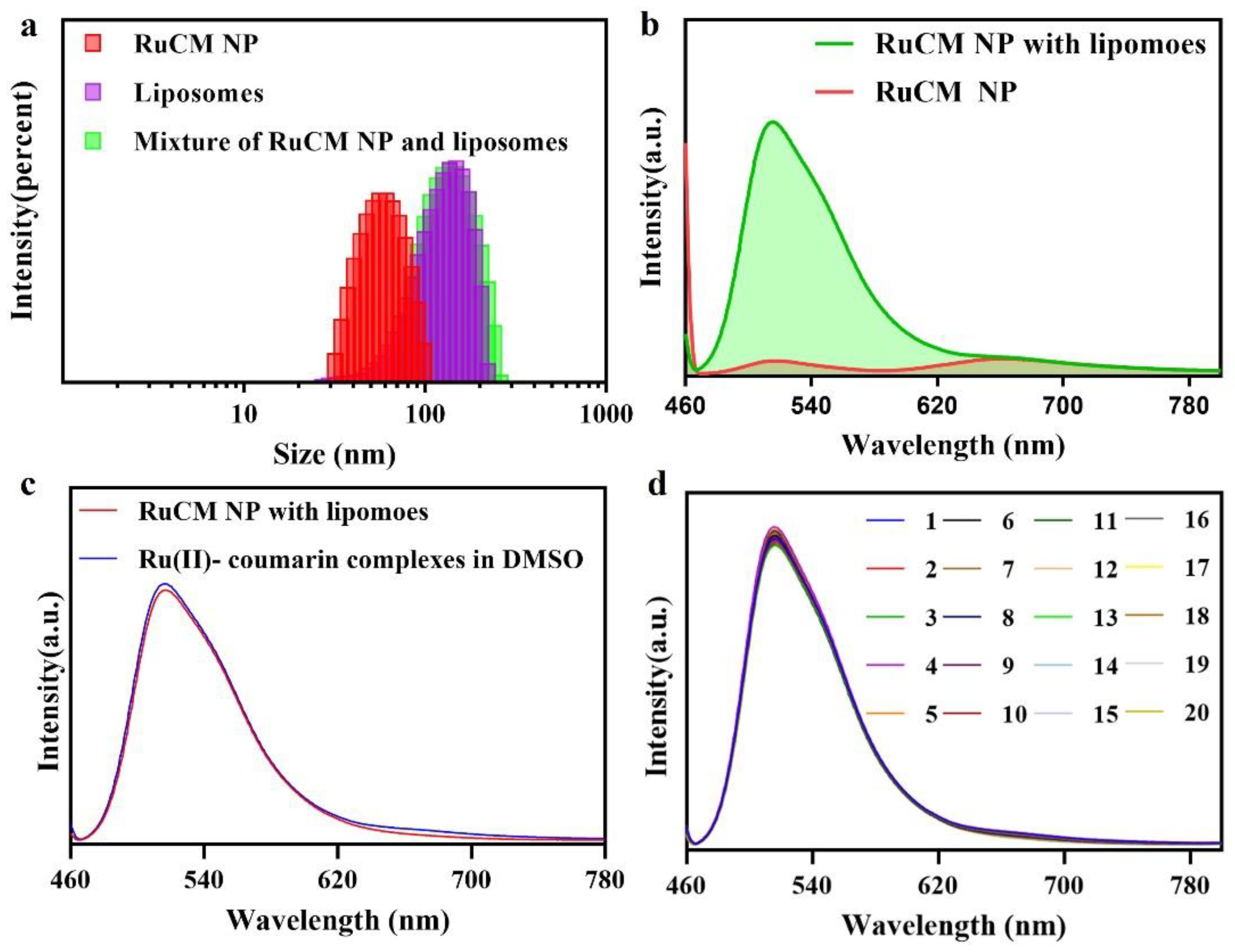 Pharmaceutics 14 02284 g003