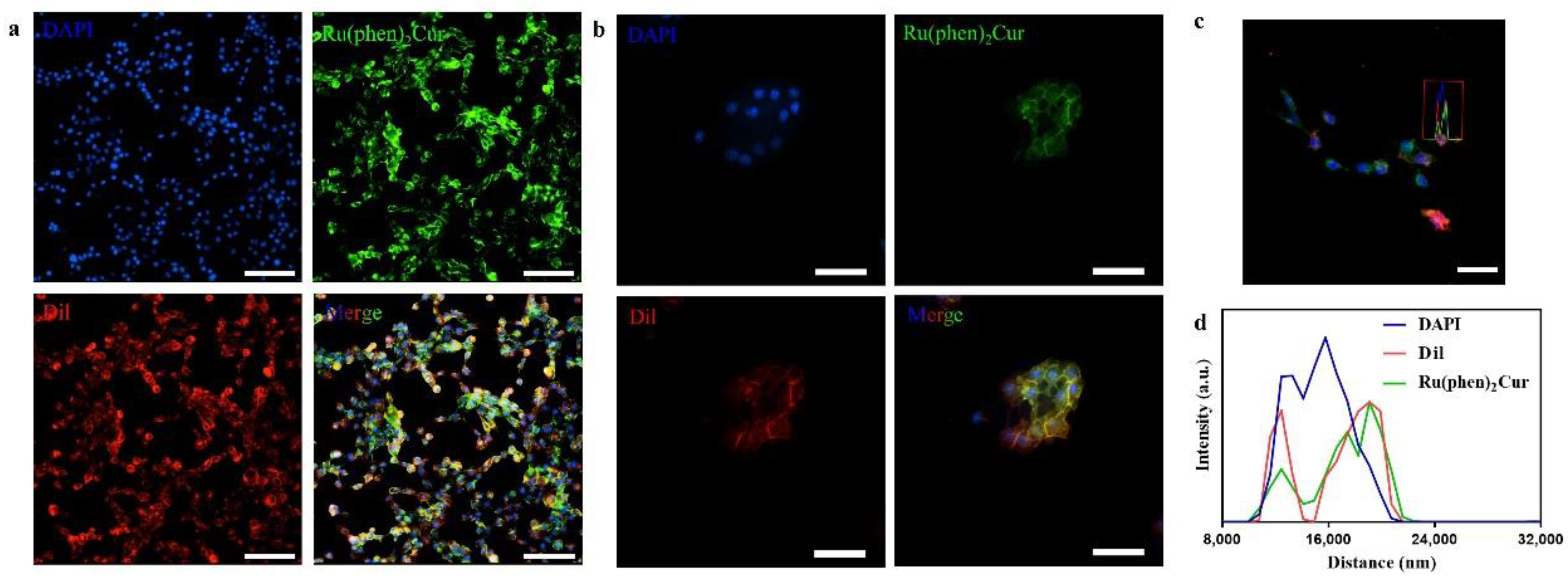 Pharmaceutics 14 02284 g005