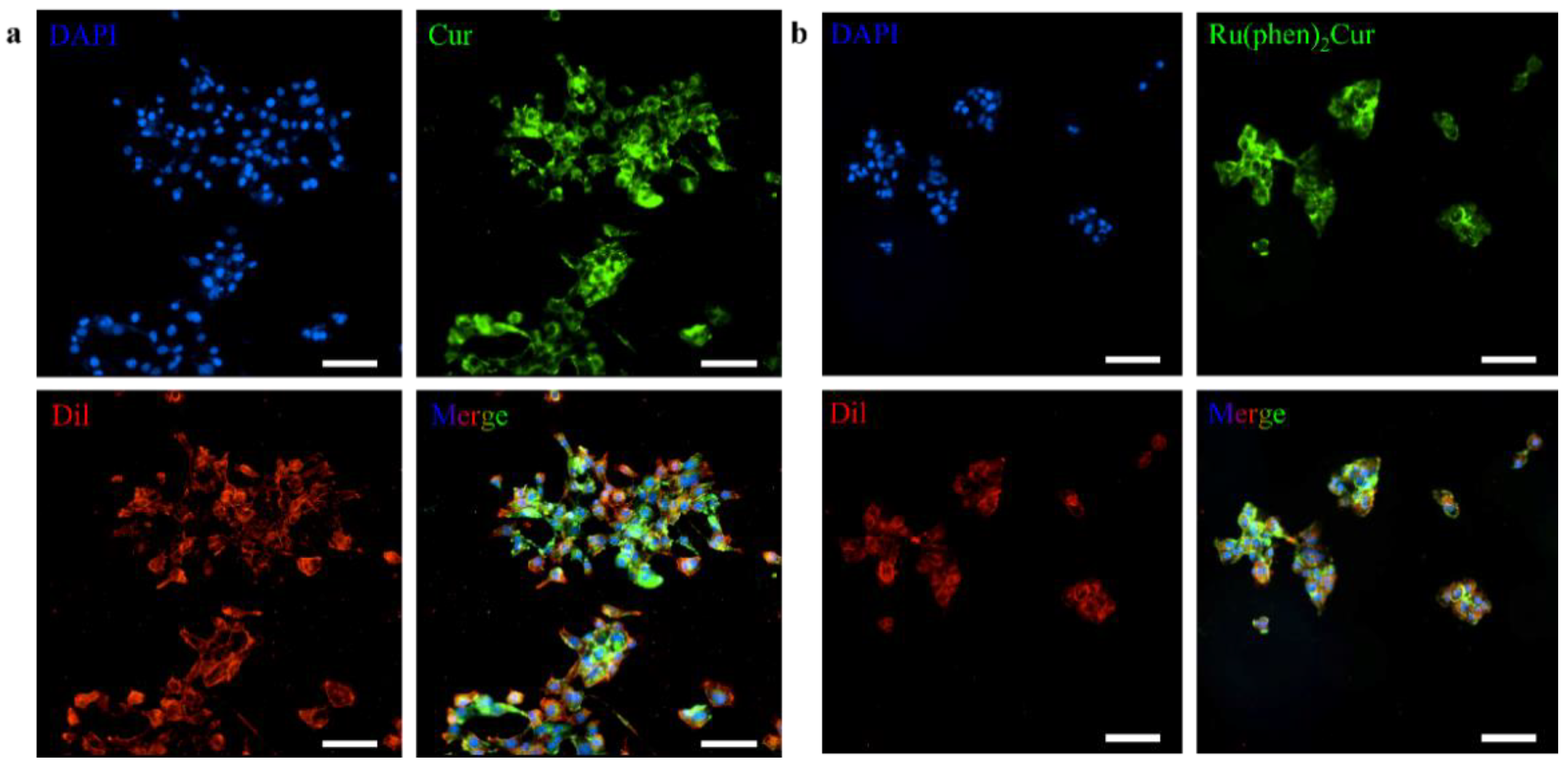 Pharmaceutics 14 02284 g006