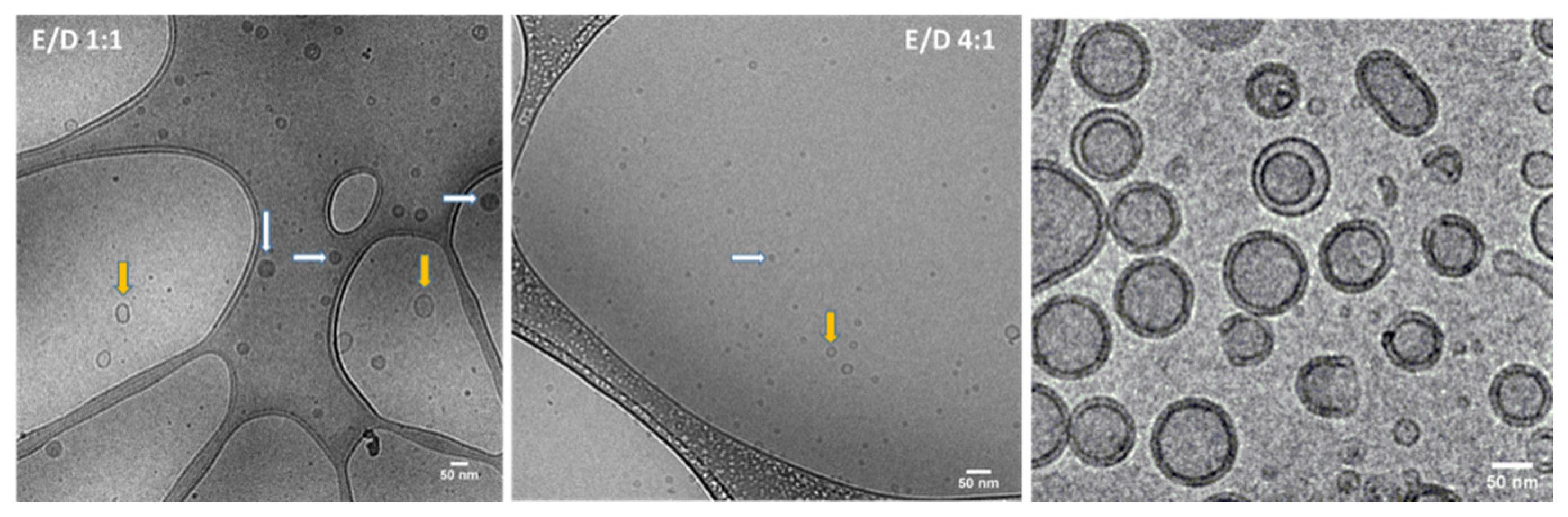 Pharmaceutics 14 02291 g001