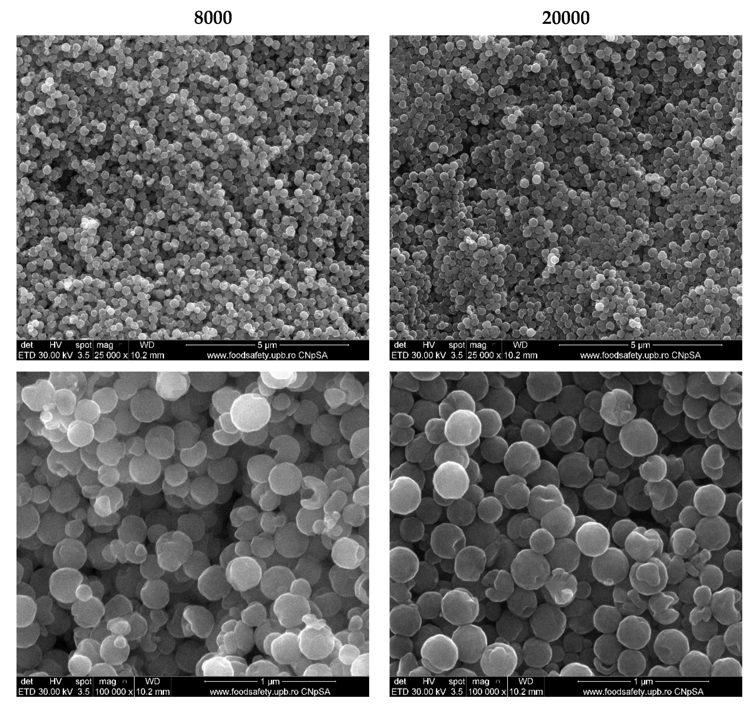 Pharmaceutics 14 02292 g003 Pharmaceutics 14 02292 g003
