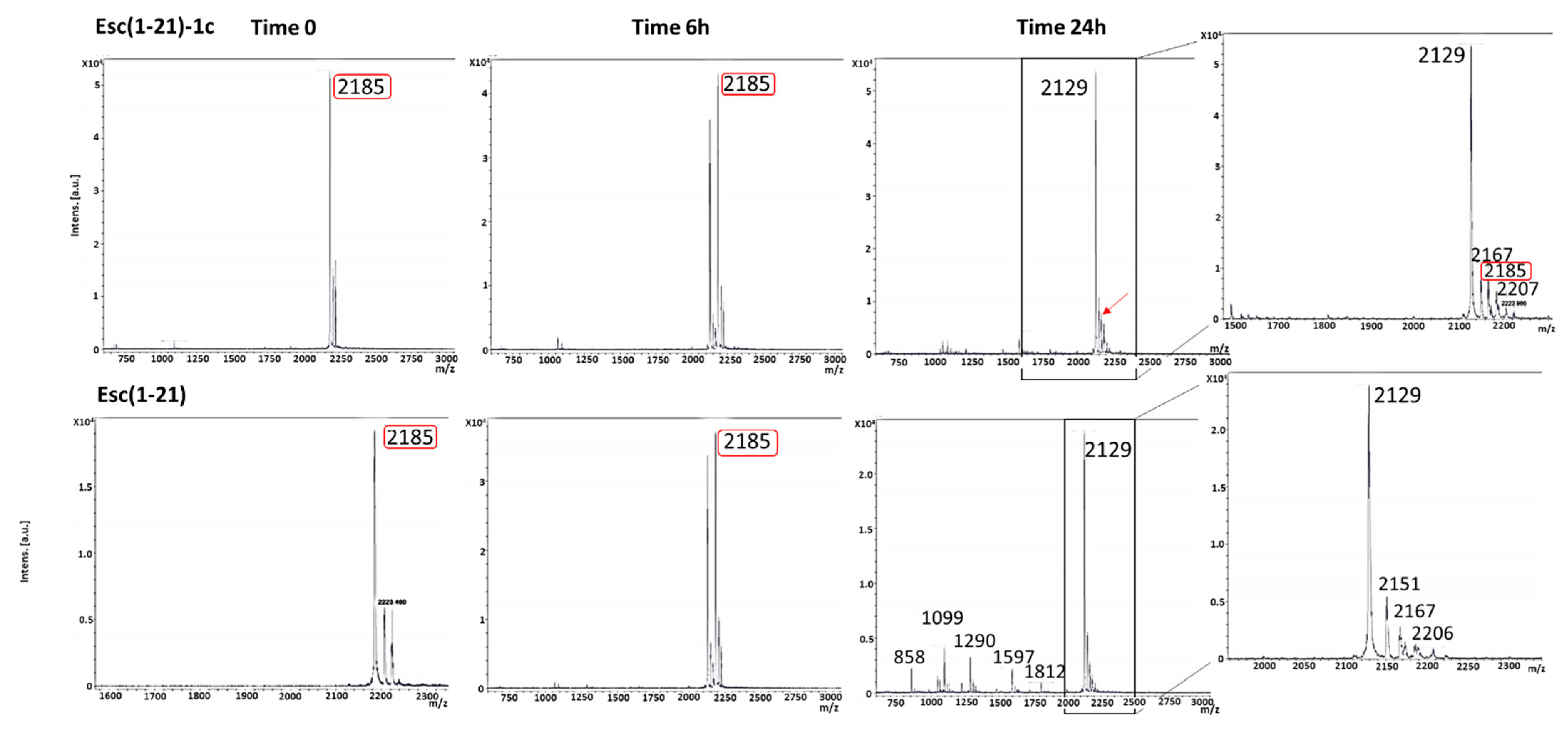 Pharmaceutics 14 02297 g004 Pharmaceutics 14 02297 g004