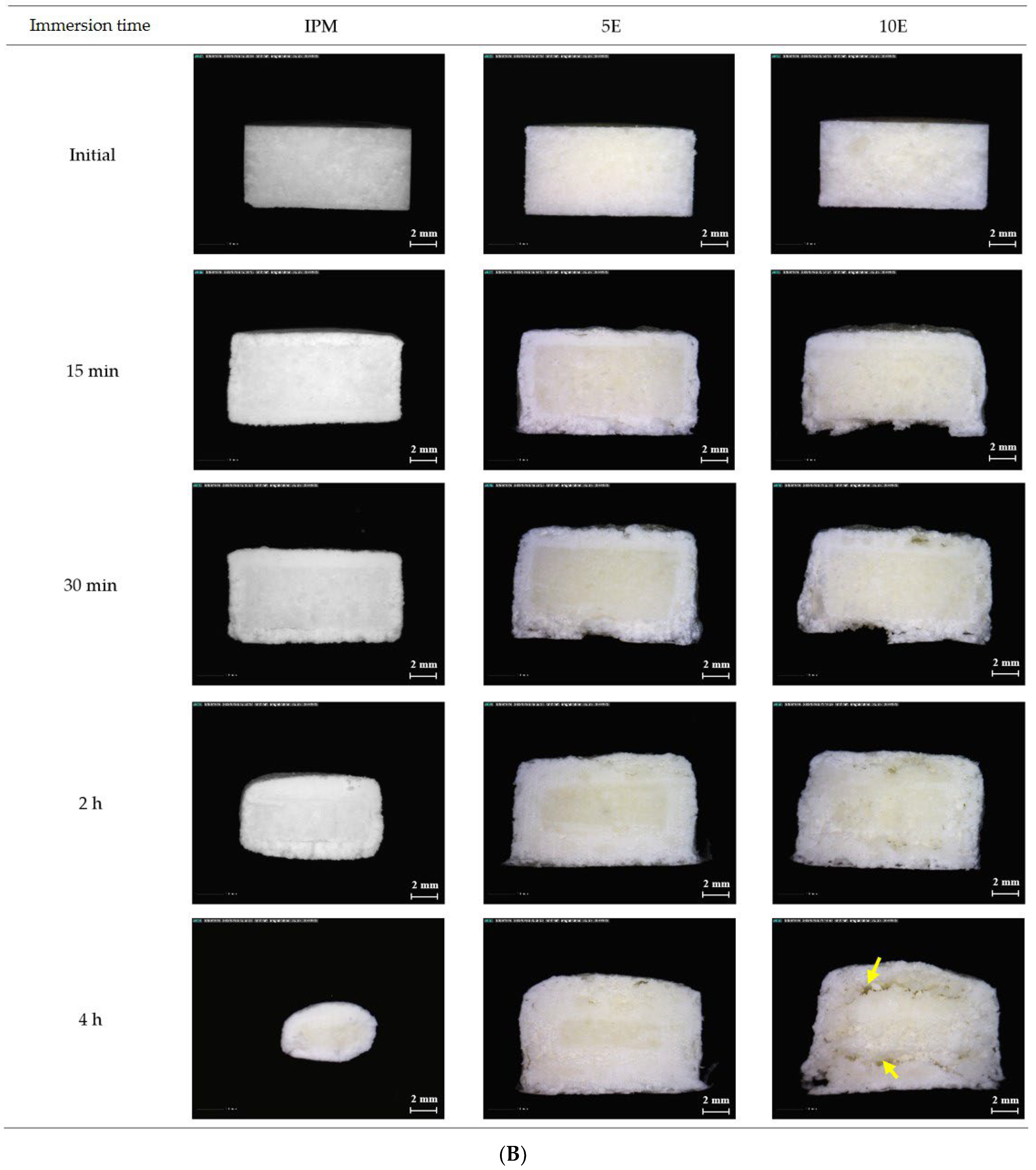 Pharmaceutics 14 02299 g005b