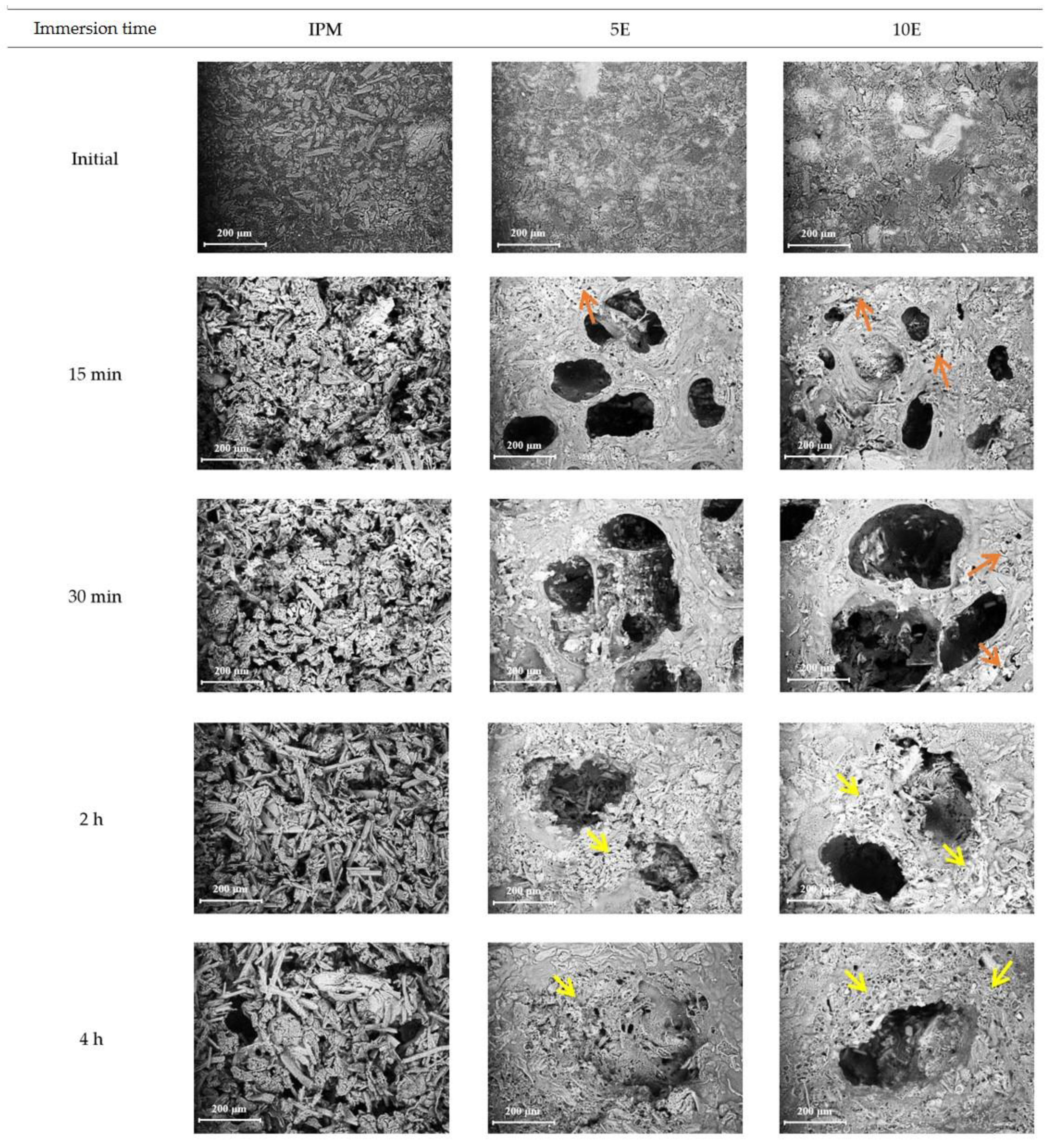 Pharmaceutics 14 02299 g006