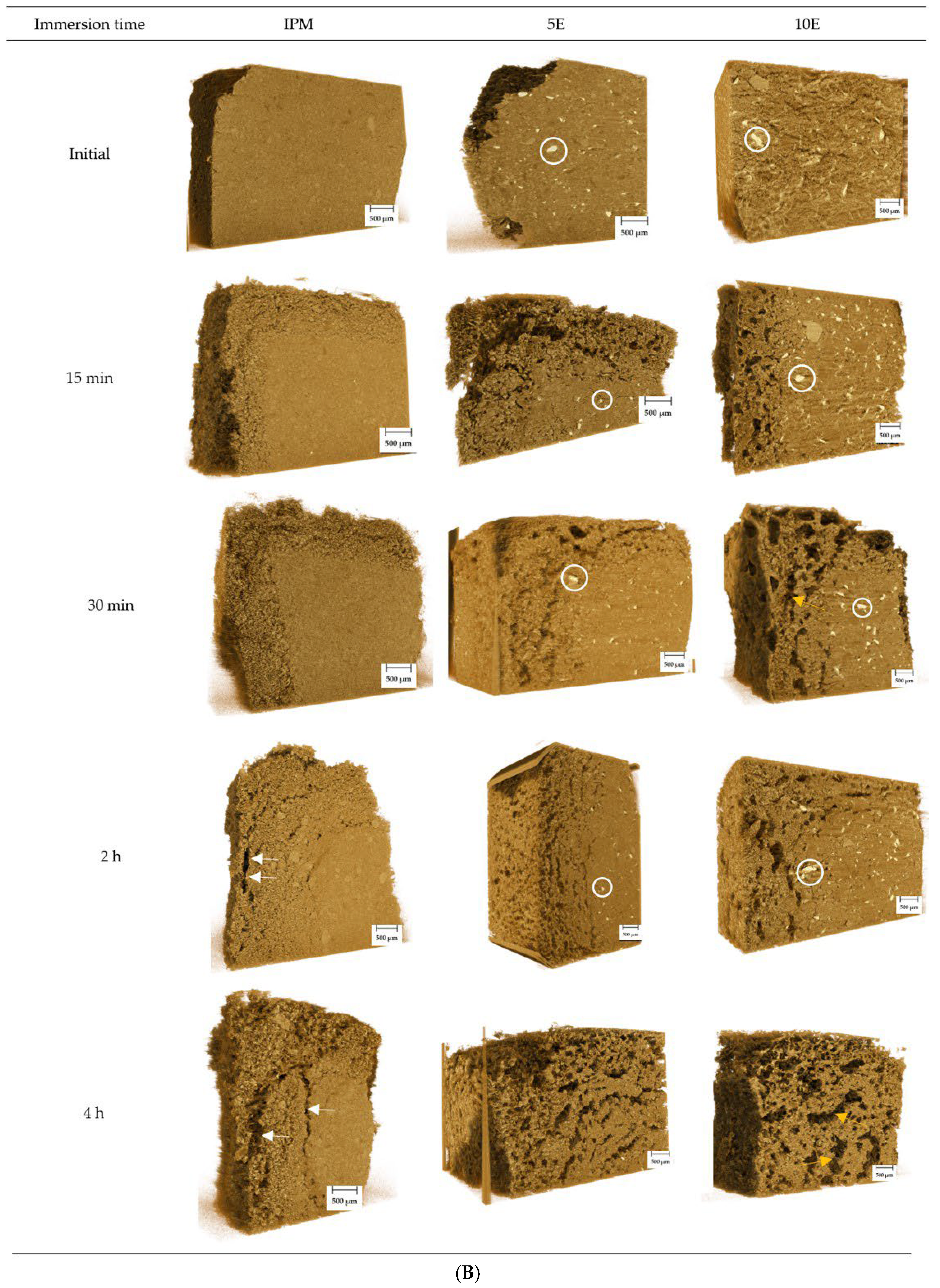 Pharmaceutics 14 02299 g007b