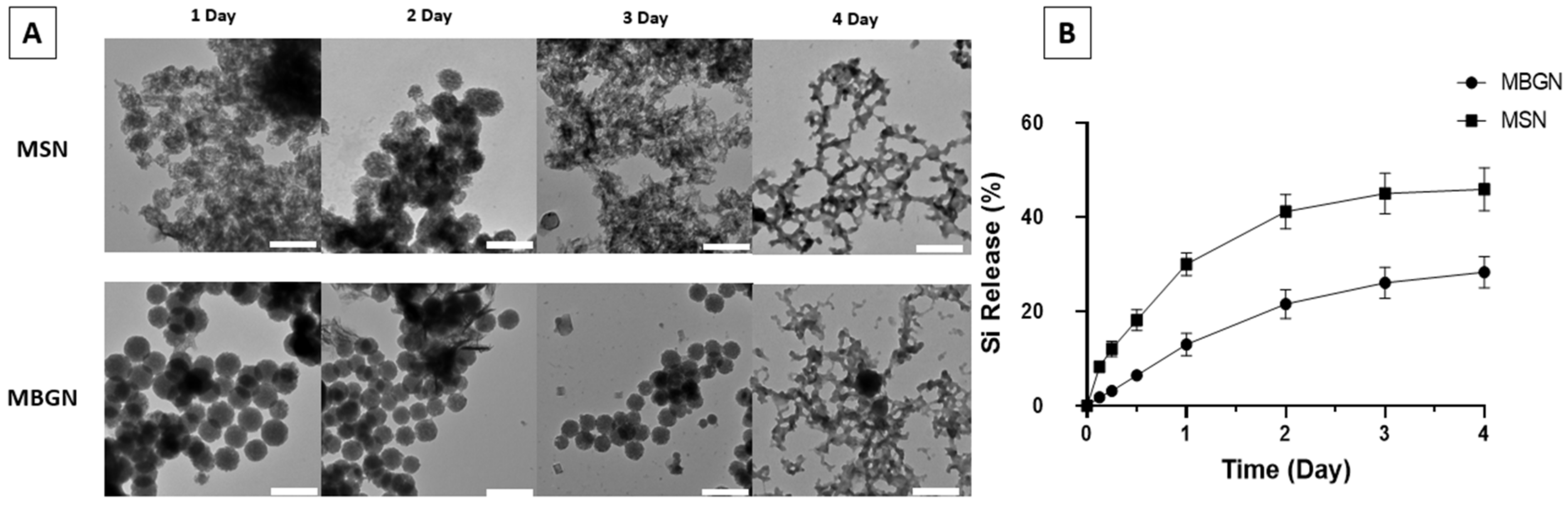 Pharmaceutics 14 02302 g002 Pharmaceutics 14 02302 g002