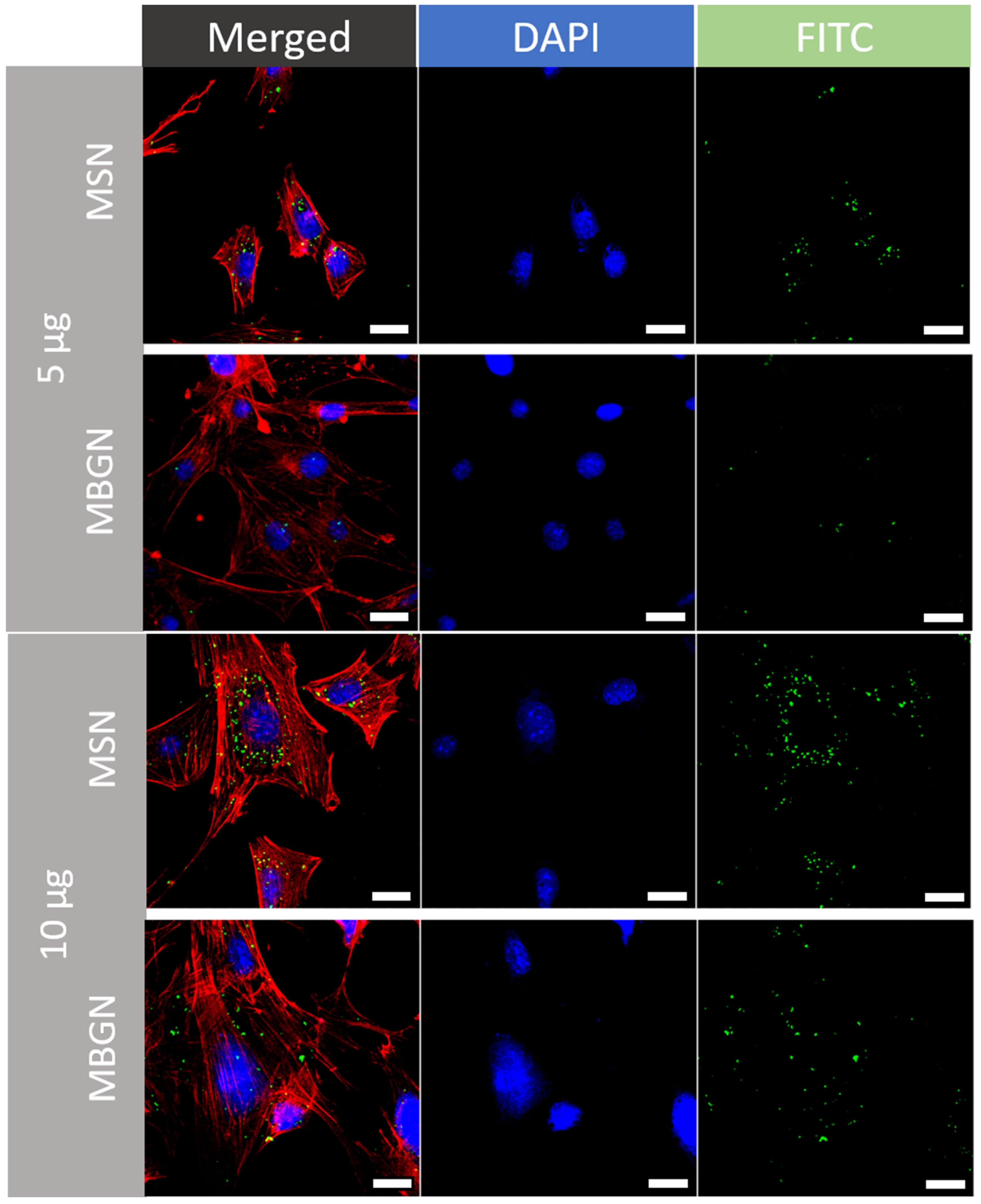 Pharmaceutics 14 02302 g005a Pharmaceutics 14 02302 g005a
