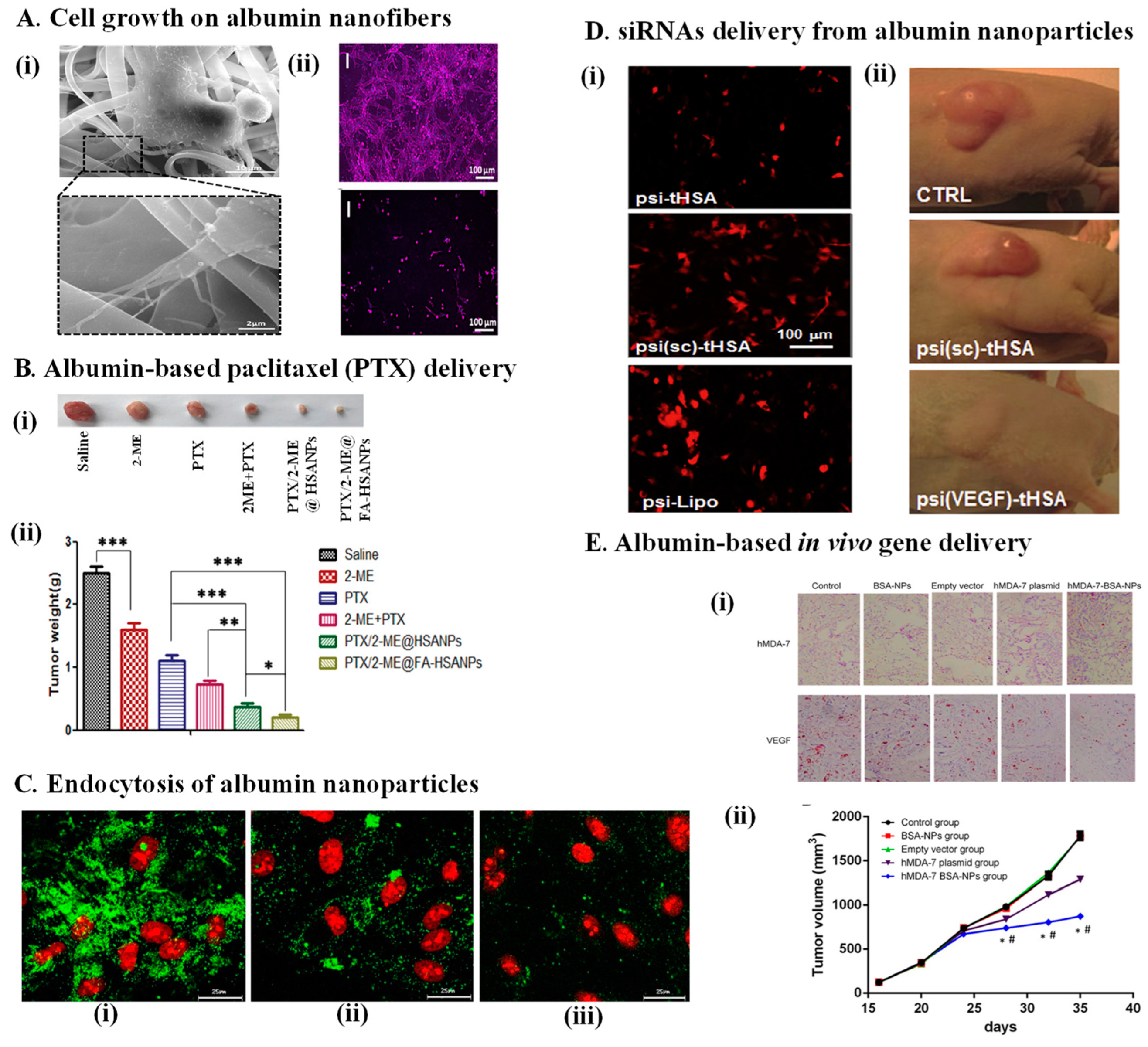 Pharmaceutics 14 02306 g006 Pharmaceutics 14 02306 g006