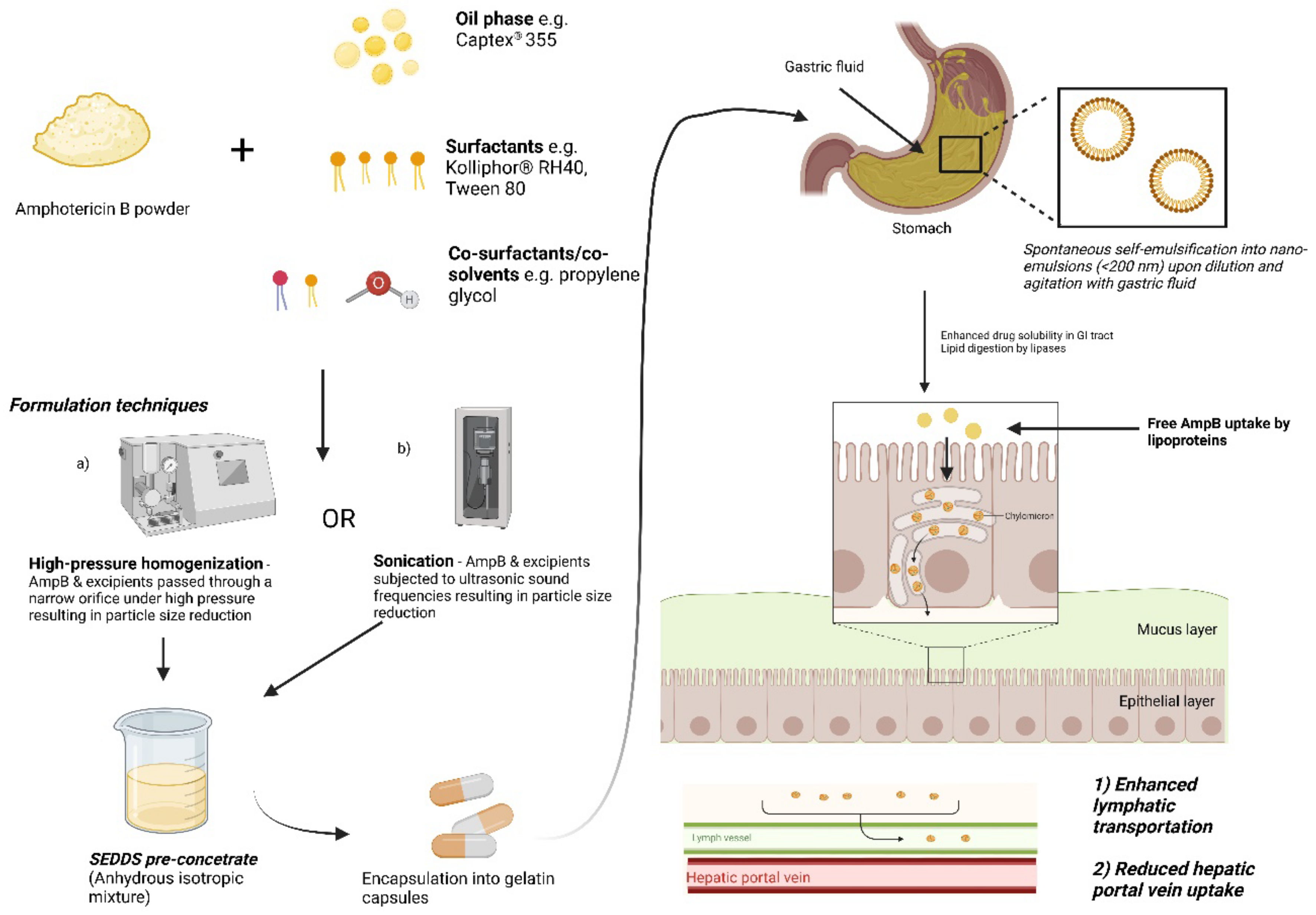 Pharmaceutics 14 02316 g003