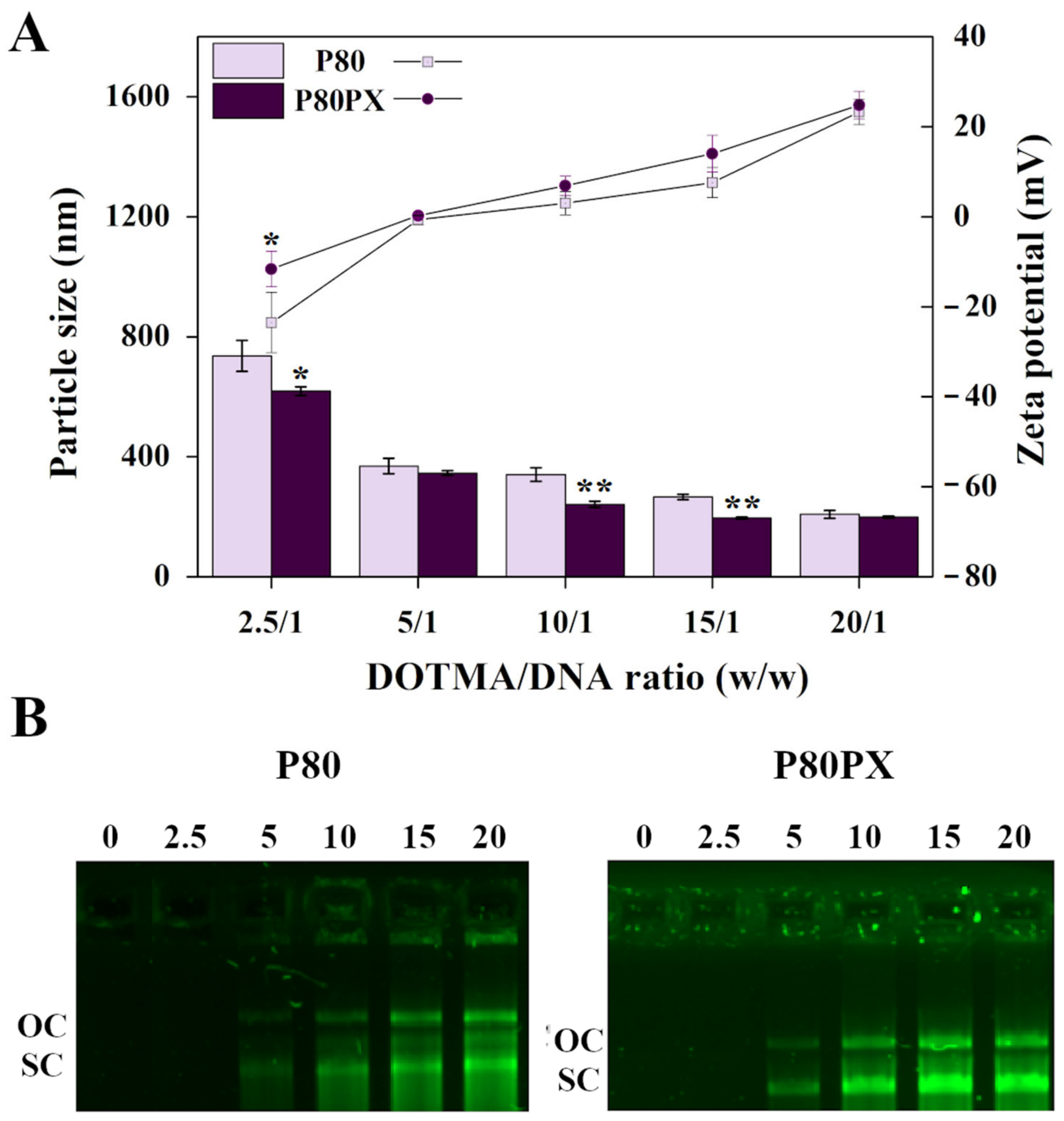Pharmaceutics 14 02327 g001
