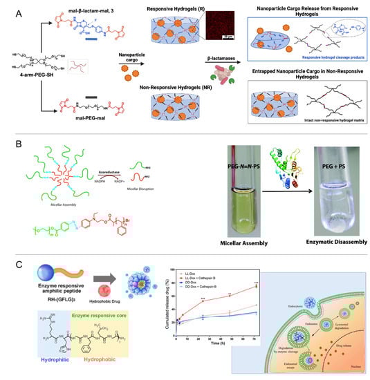 Pharmaceutics 14 02331 g016