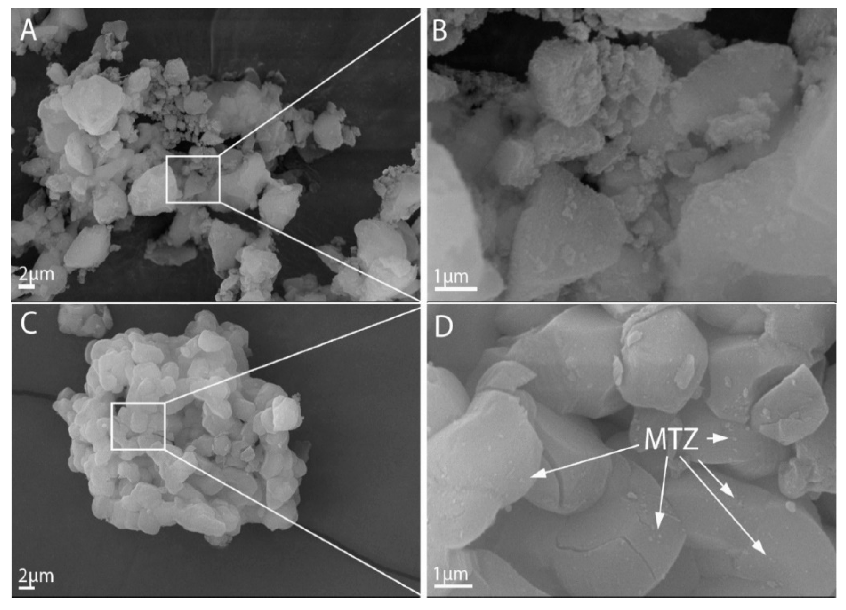 Pharmaceutics 14 02332 g005