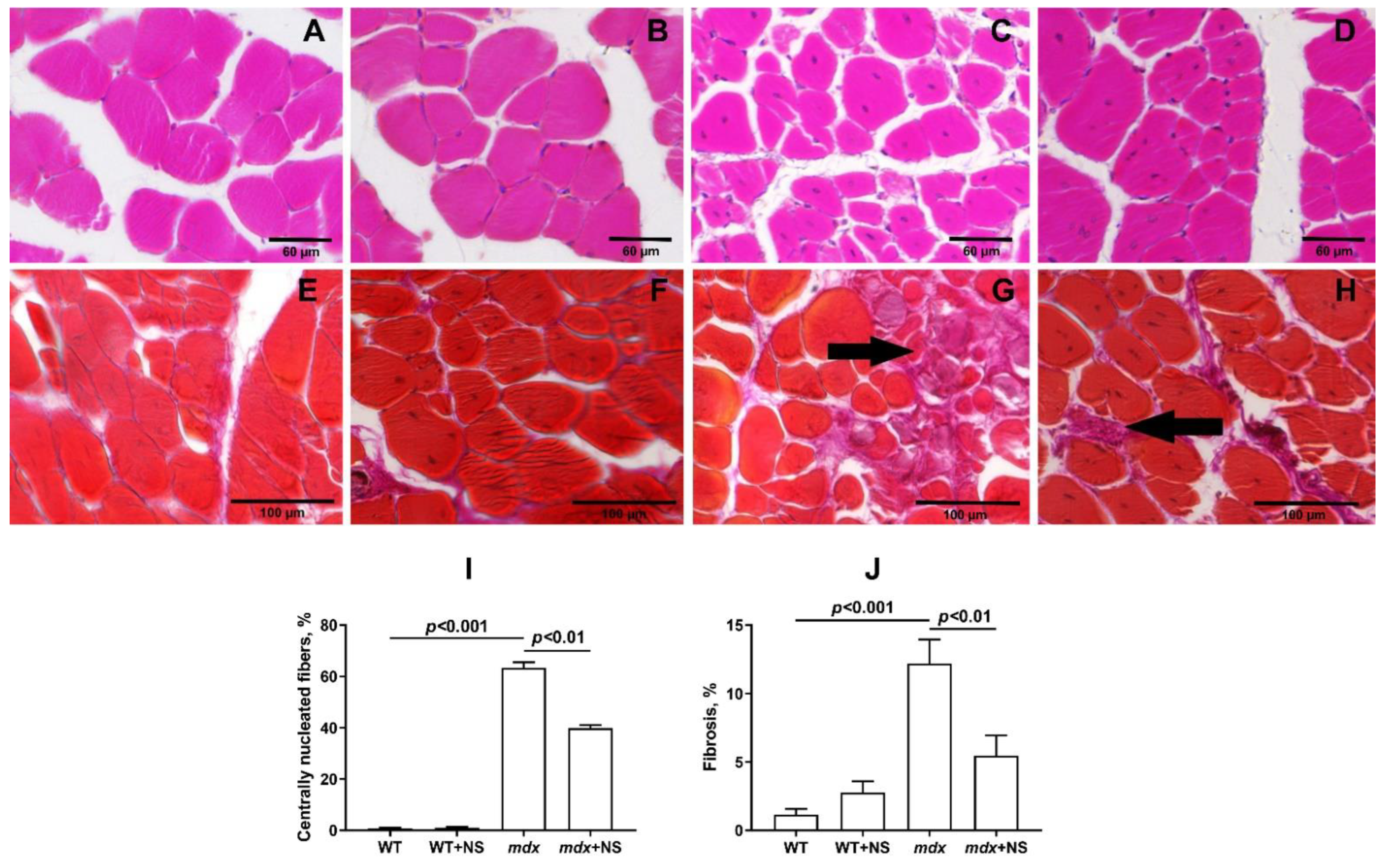 Pharmaceutics 14 02336 g008