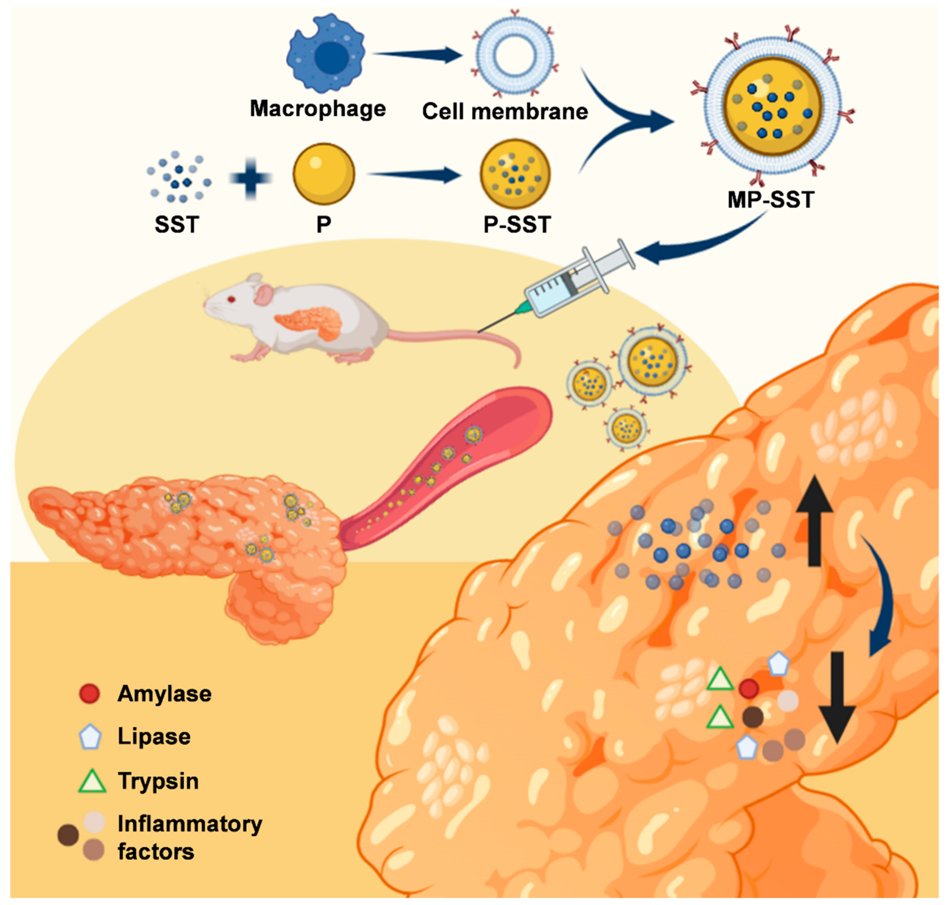 Pharmaceutics 14 02341 g001 Pharmaceutics 14 02341 g001