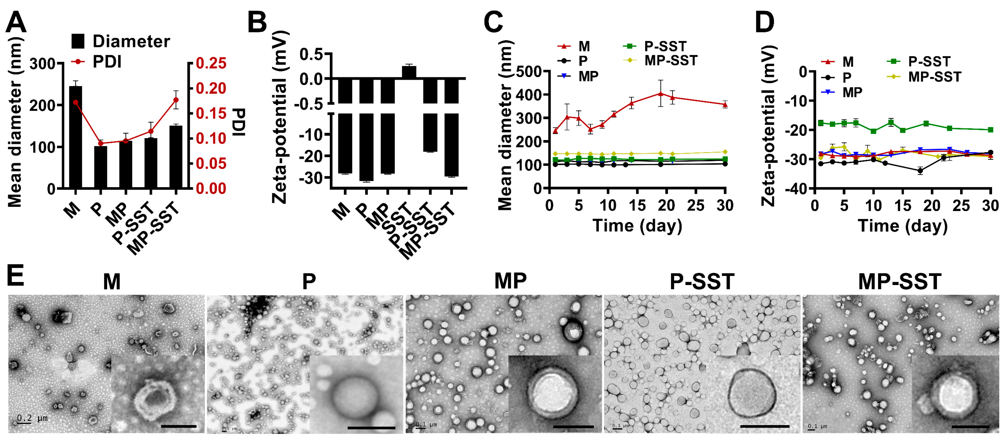 Pharmaceutics 14 02341 g002 Pharmaceutics 14 02341 g002
