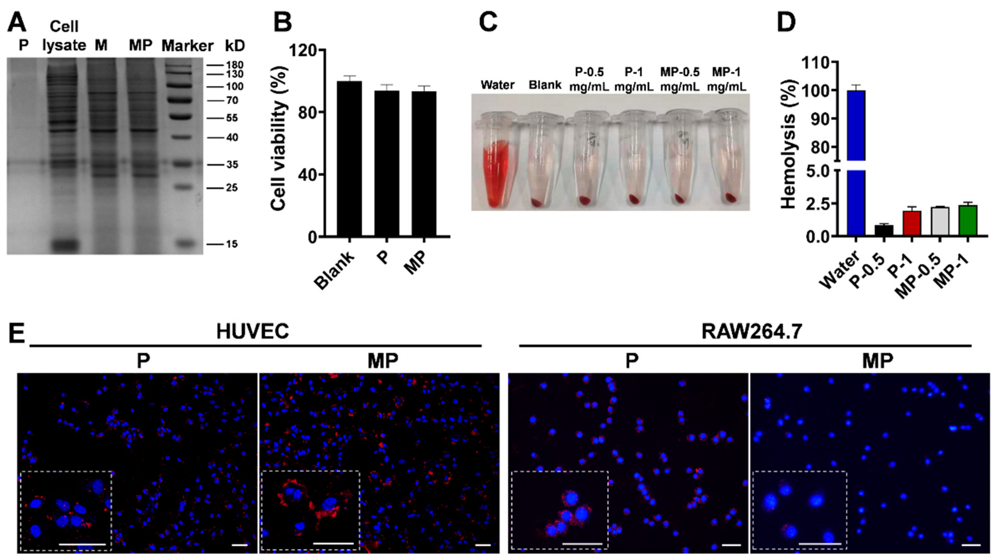 Pharmaceutics 14 02341 g003 Pharmaceutics 14 02341 g003