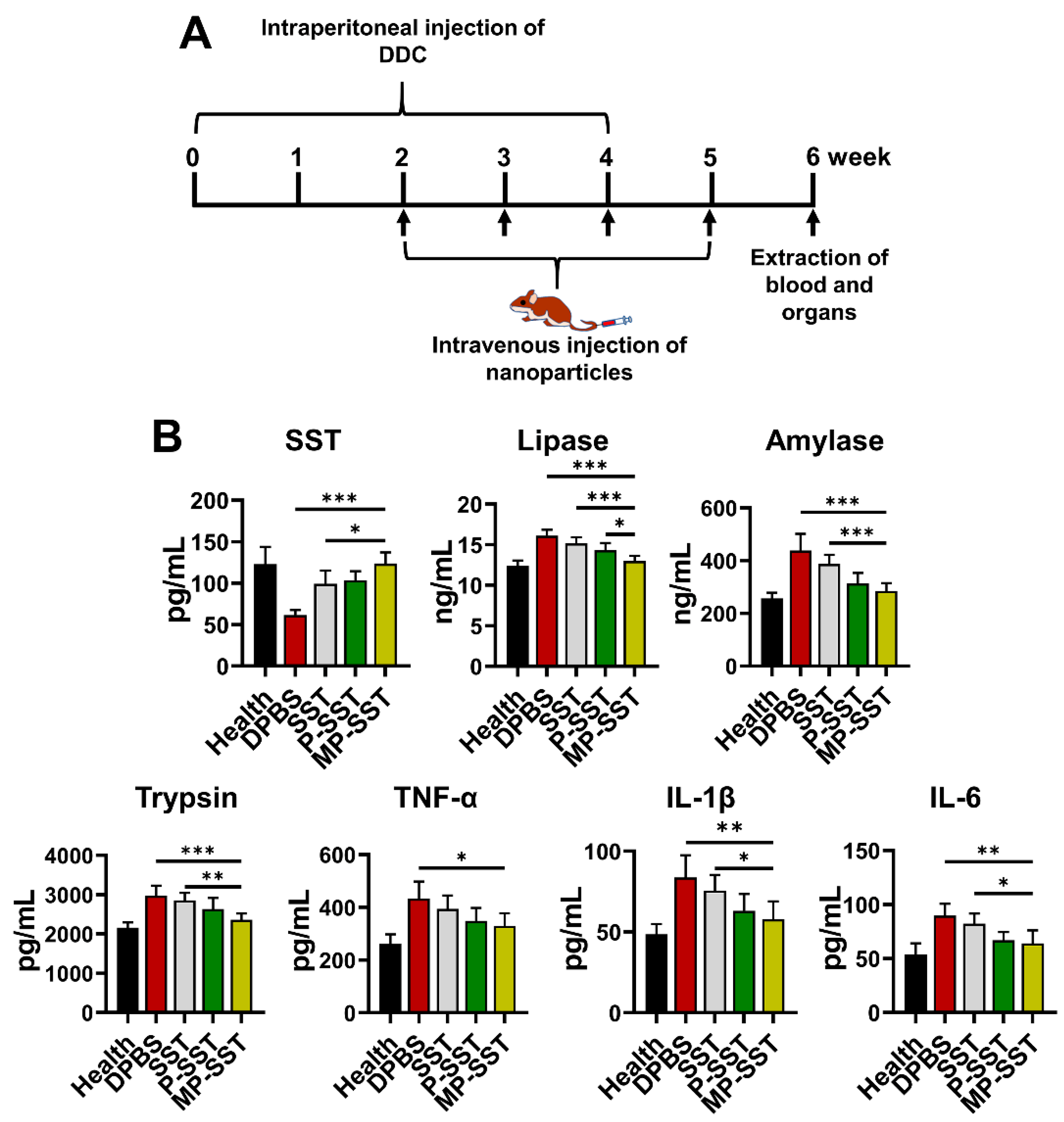 Pharmaceutics 14 02341 g004 Pharmaceutics 14 02341 g004