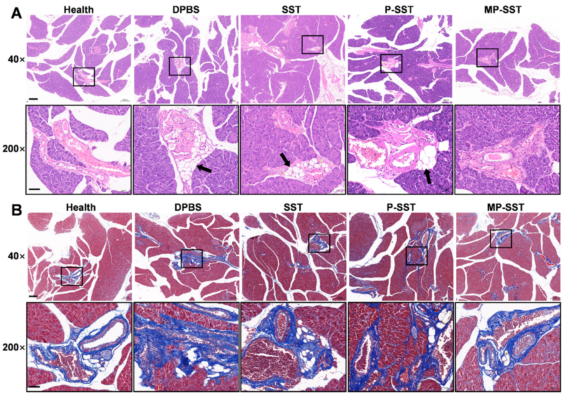 Pharmaceutics 14 02341 g006 Pharmaceutics 14 02341 g006
