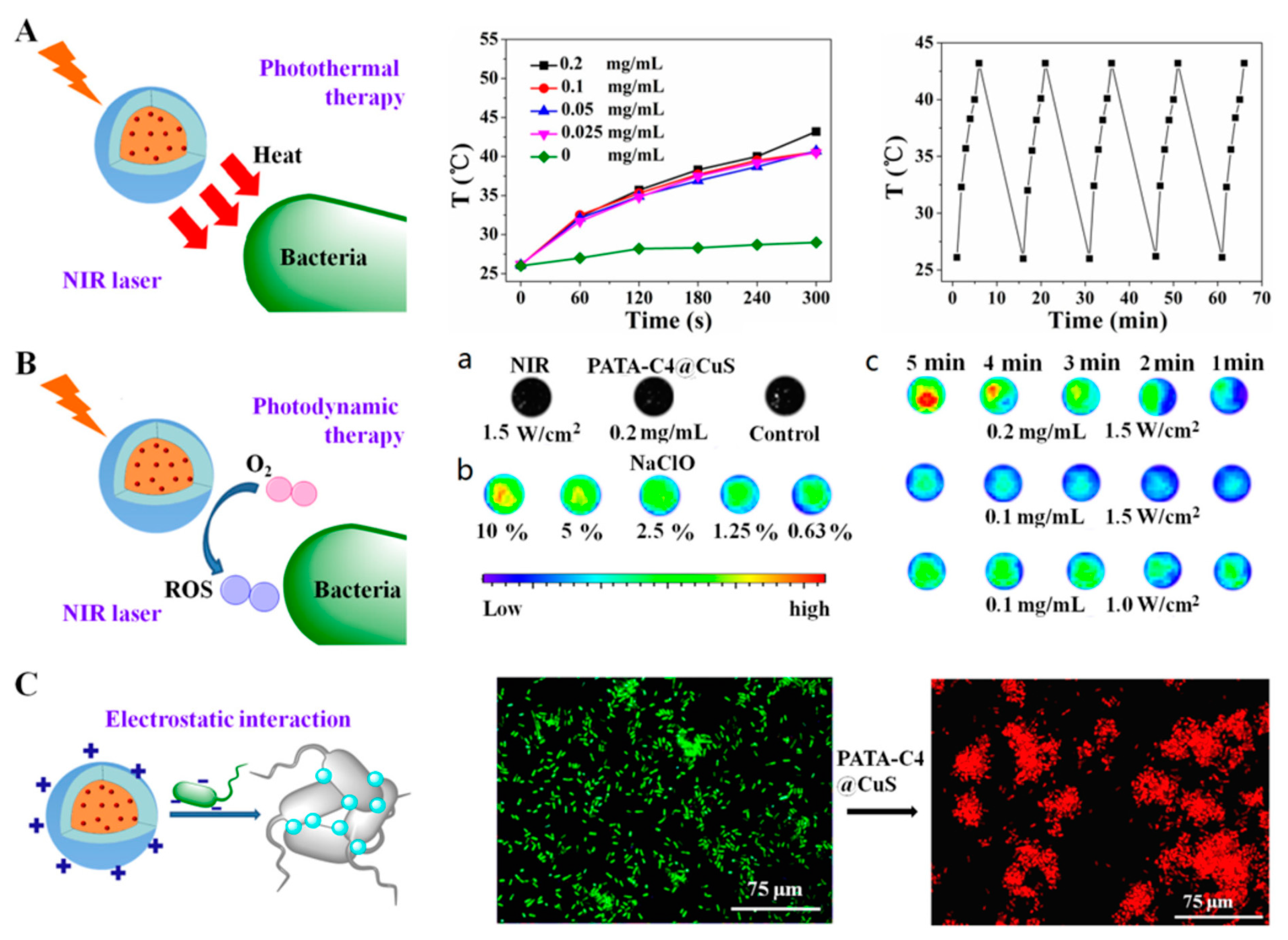 Pharmaceutics 14 02343 g004