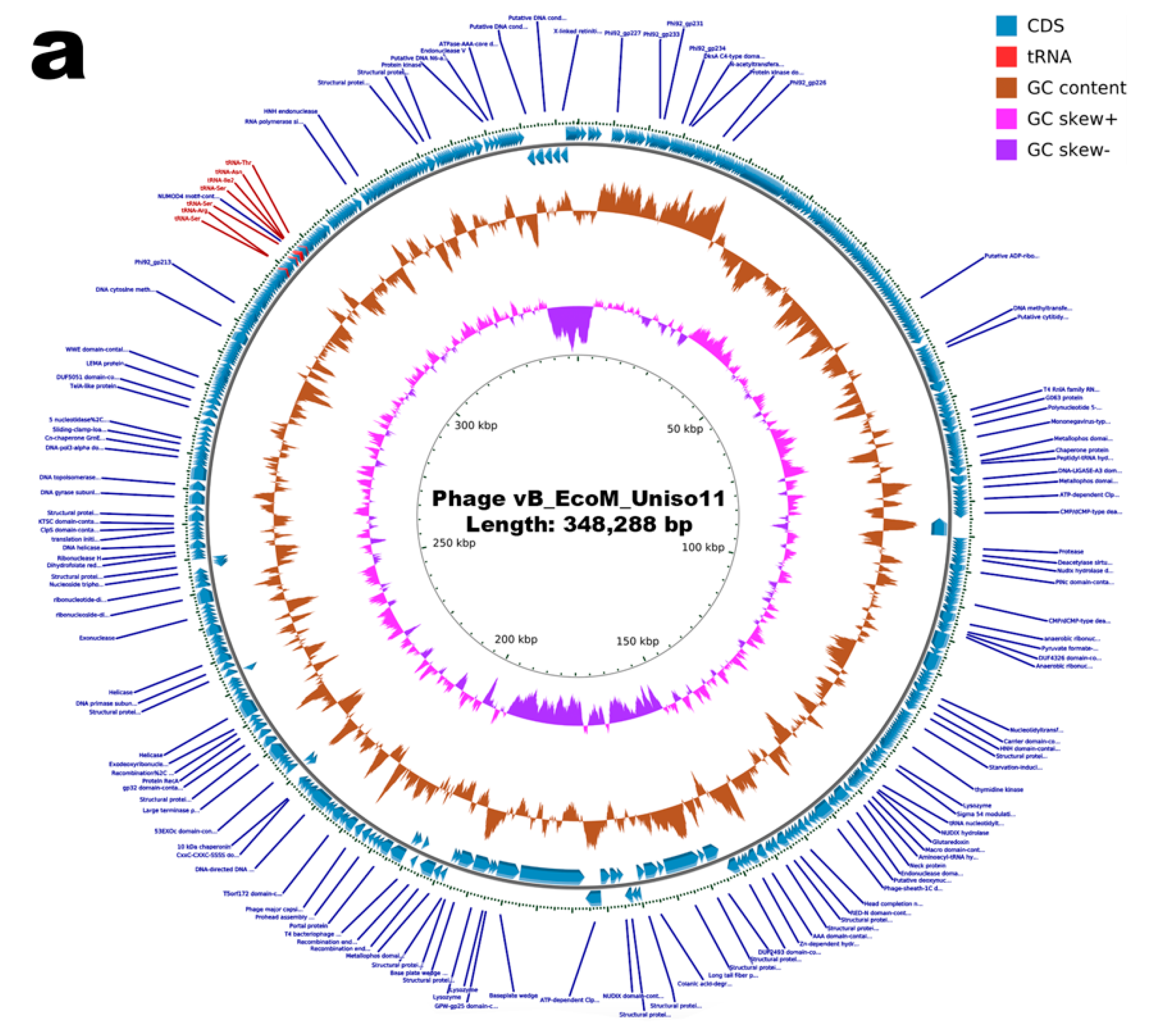 Pharmaceutics 14 02344 g011a Pharmaceutics 14 02344 g011a