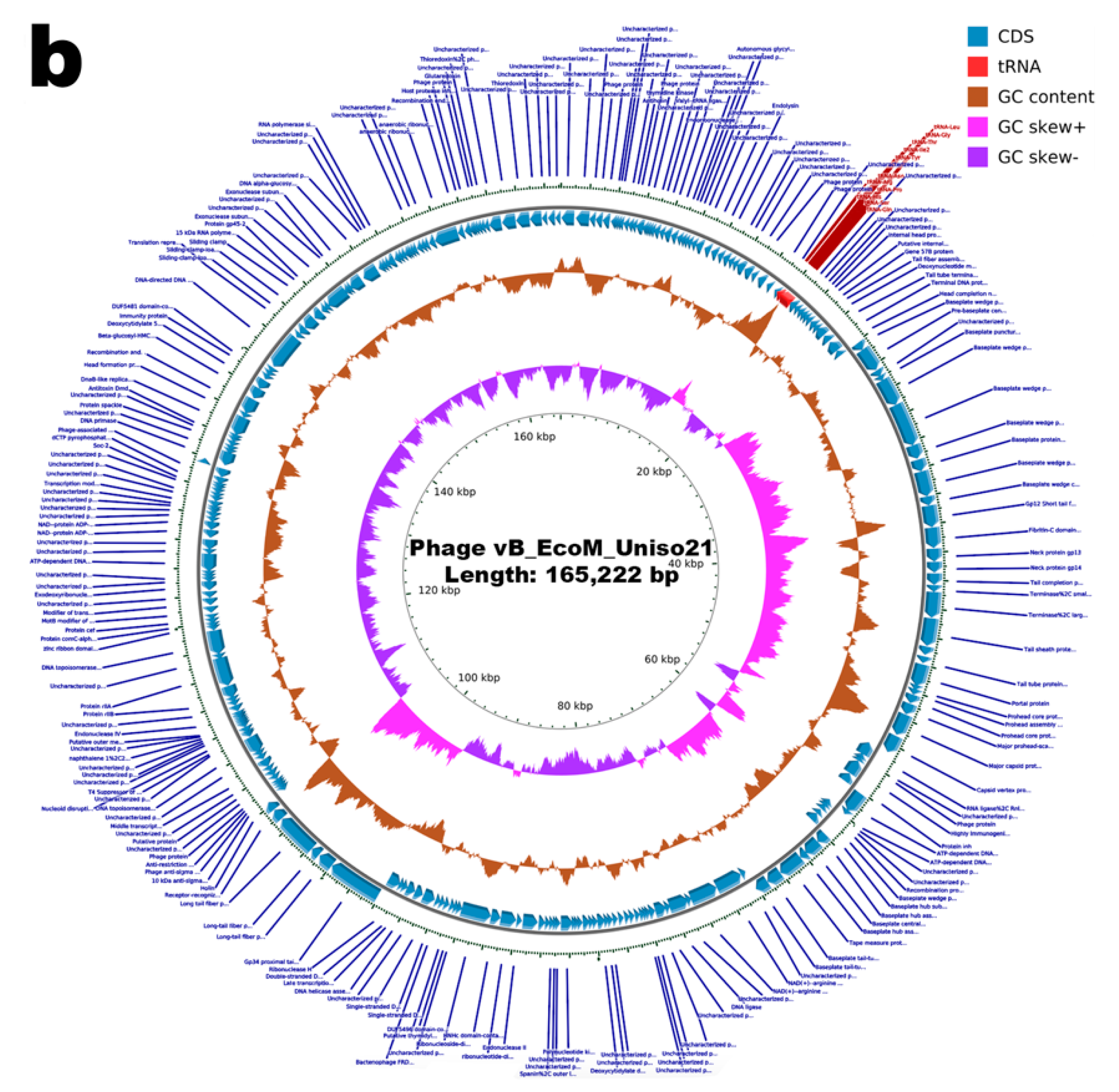 Pharmaceutics 14 02344 g011b Pharmaceutics 14 02344 g011b