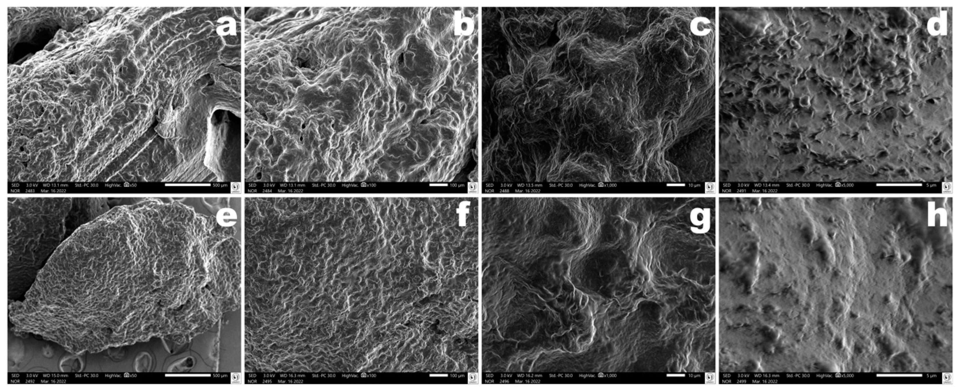 Pharmaceutics 14 02344 g016 Pharmaceutics 14 02344 g016